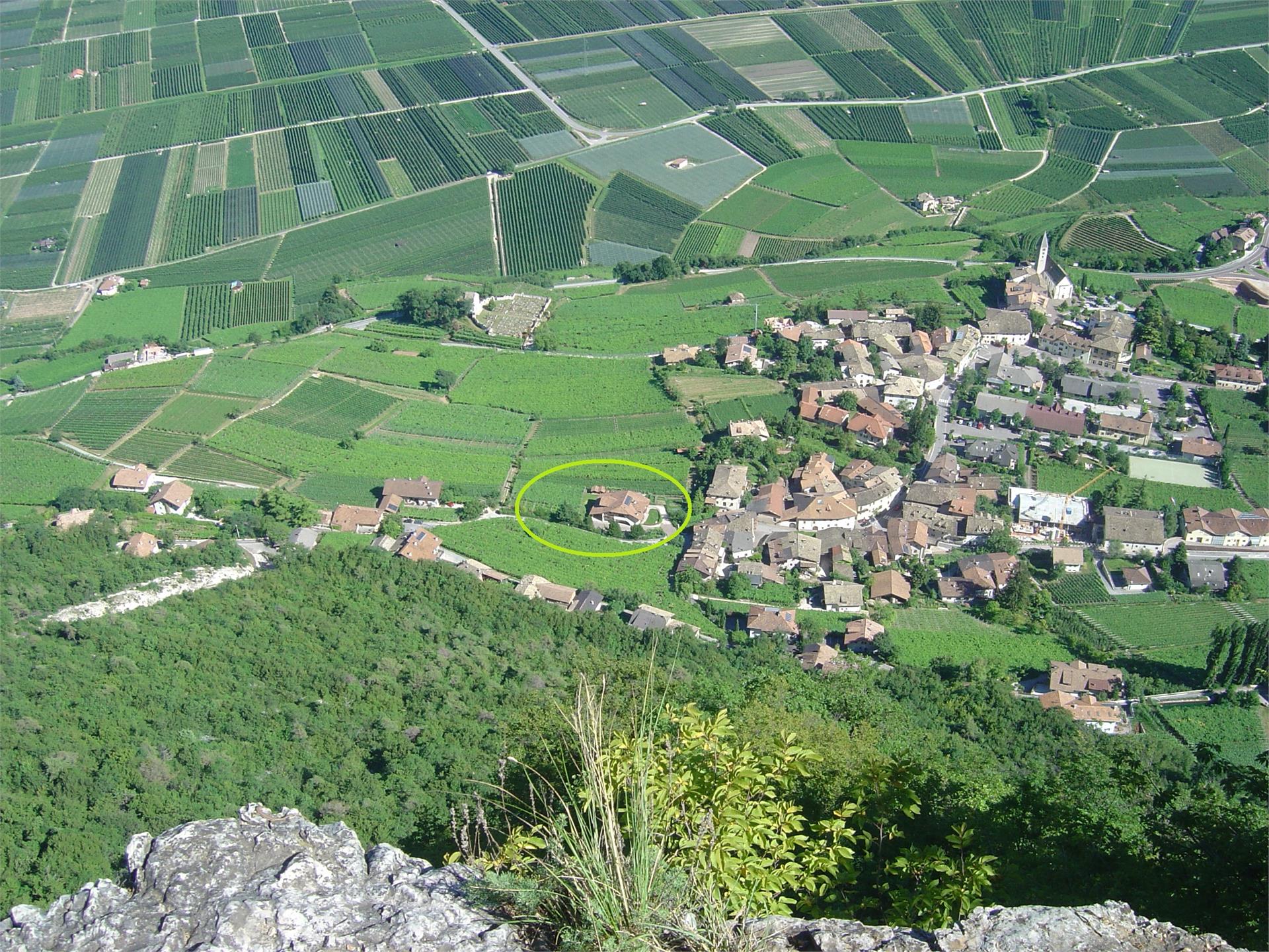 Lindenhof Cortaccia sulla Strada del Vino 3 suedtirol.info