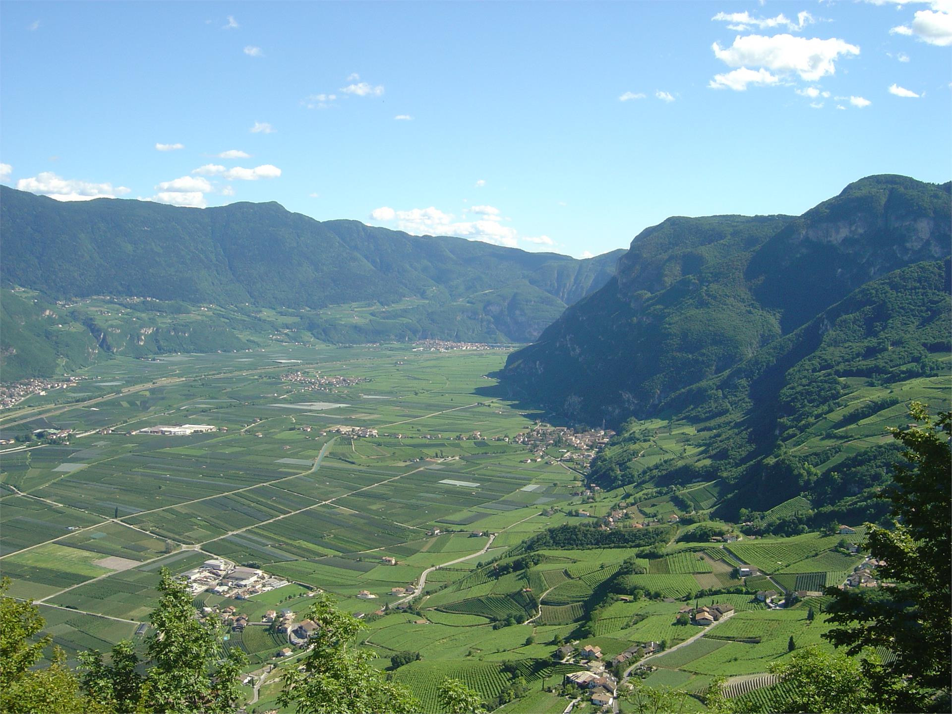 Lindenhof Cortaccia sulla Strada del Vino 22 suedtirol.info