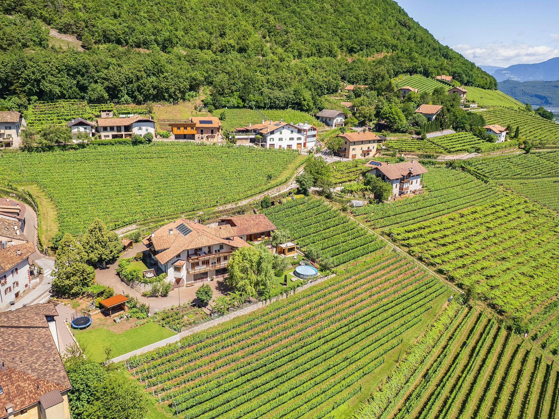 Lindenhof - Strada del Vino - #1 - suedtirol.info