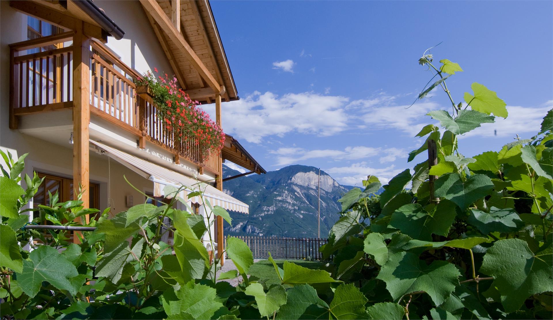 Lindenhof Cortaccia sulla Strada del Vino 20 suedtirol.info