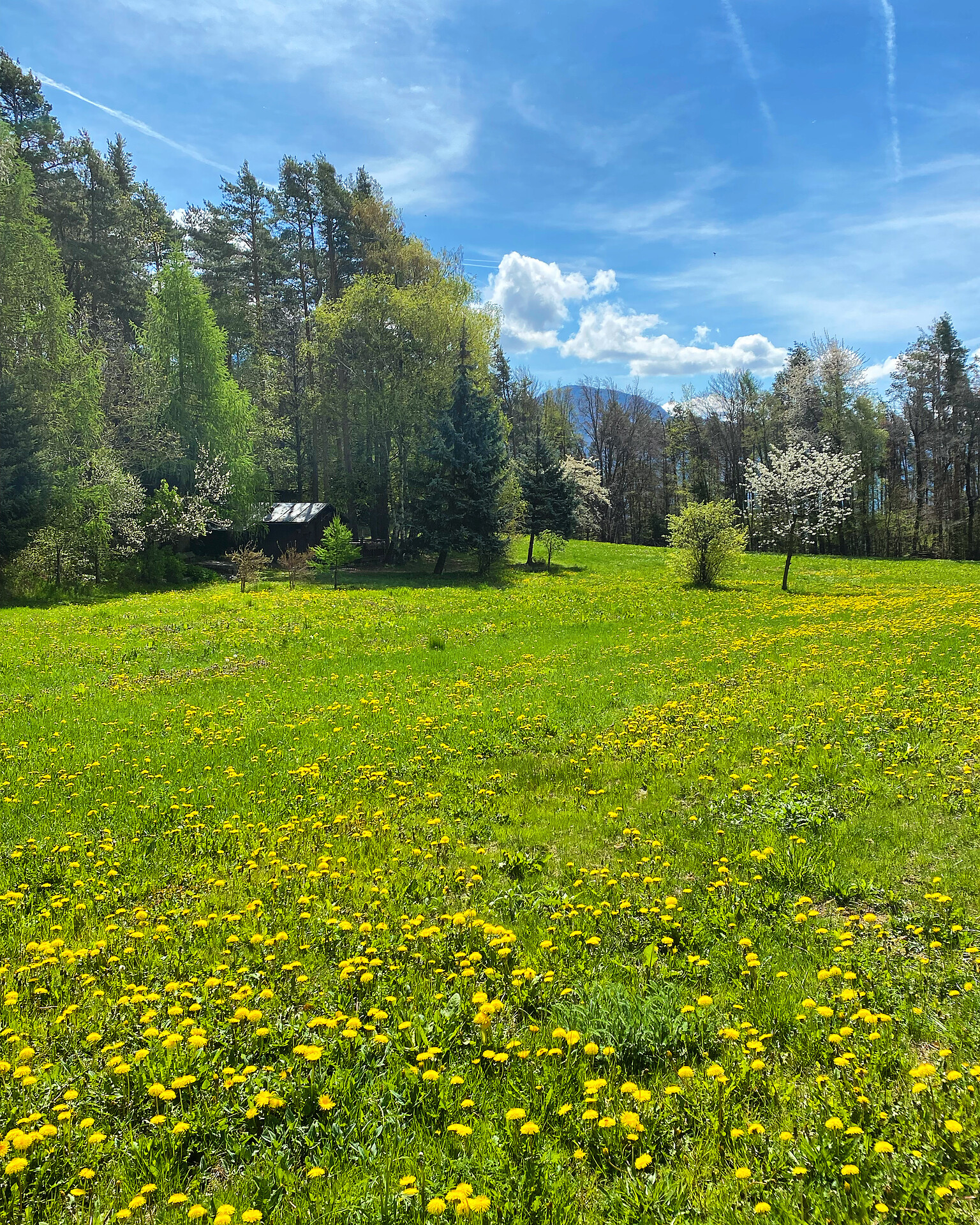 Lodge Lärchenwiesen