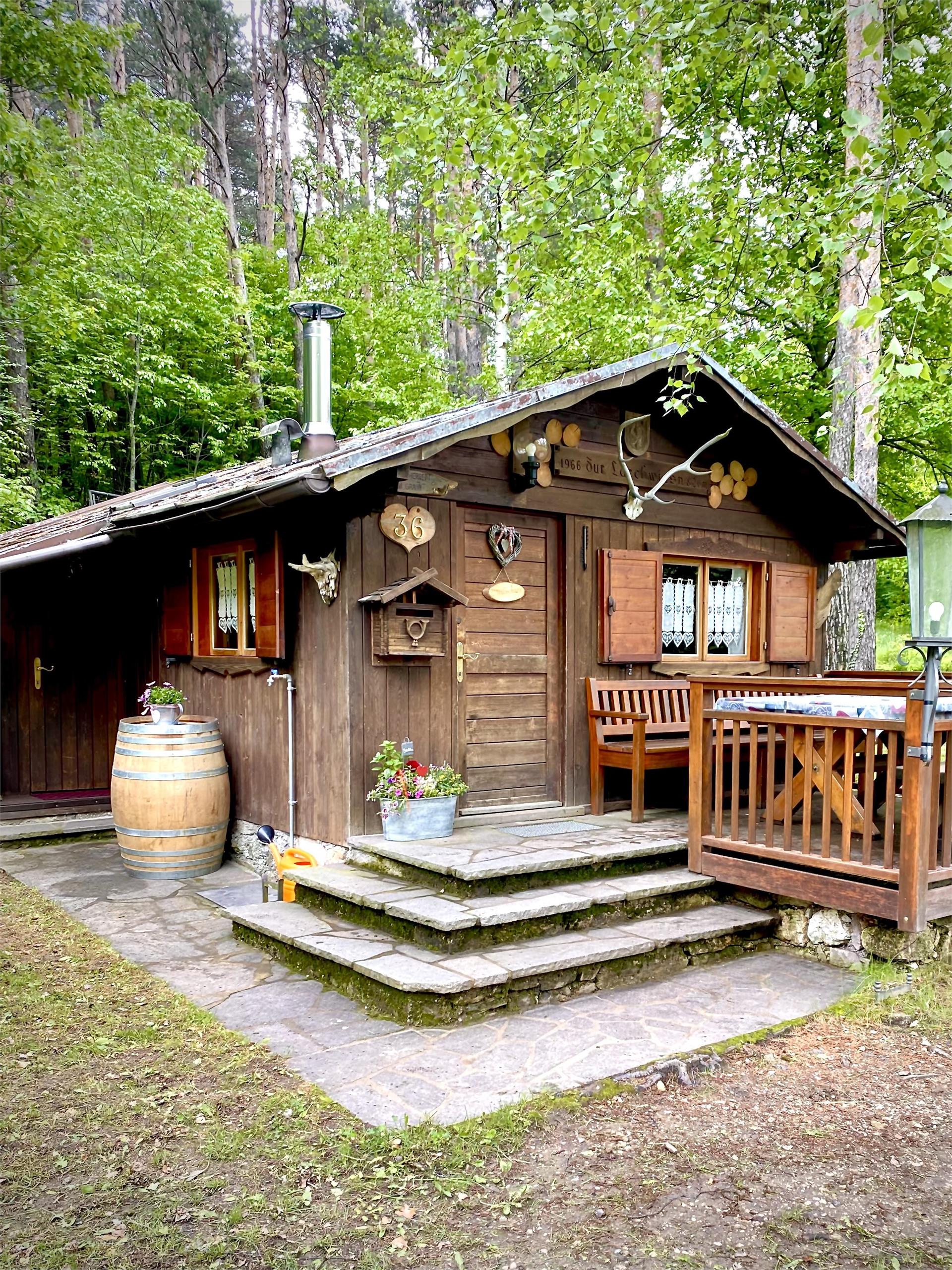 Lärchenwiesenhütte Kurtatsch an der Weinstraße/Cortaccia sulla Strada del Vino 1 suedtirol.info
