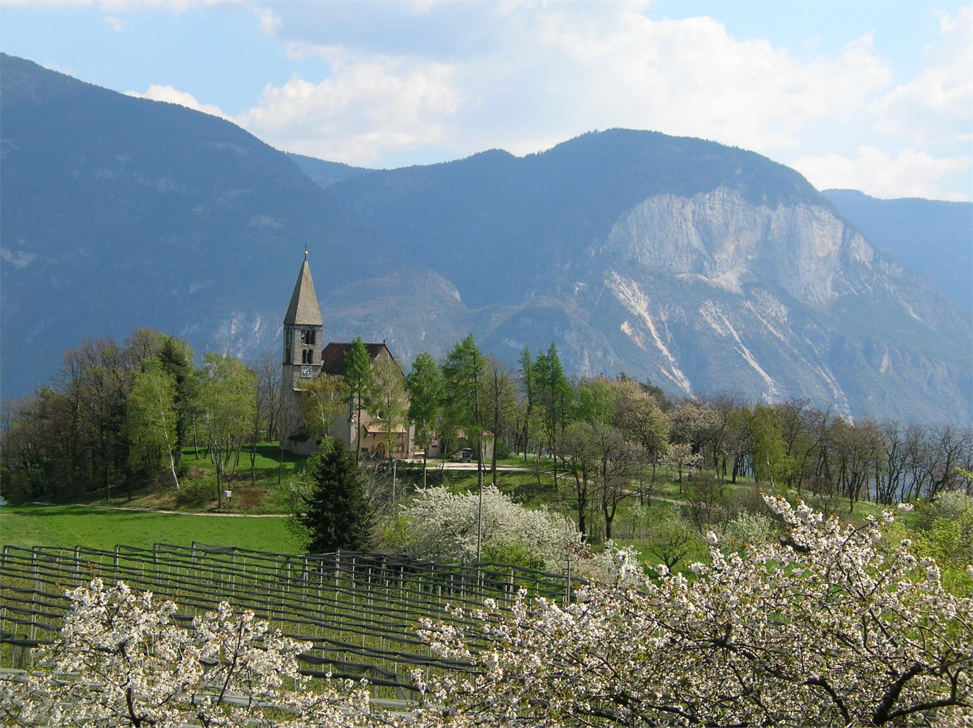 Lärchenwiesenhütte Kurtatsch an der Weinstraße/Cortaccia sulla Strada del Vino 5 suedtirol.info