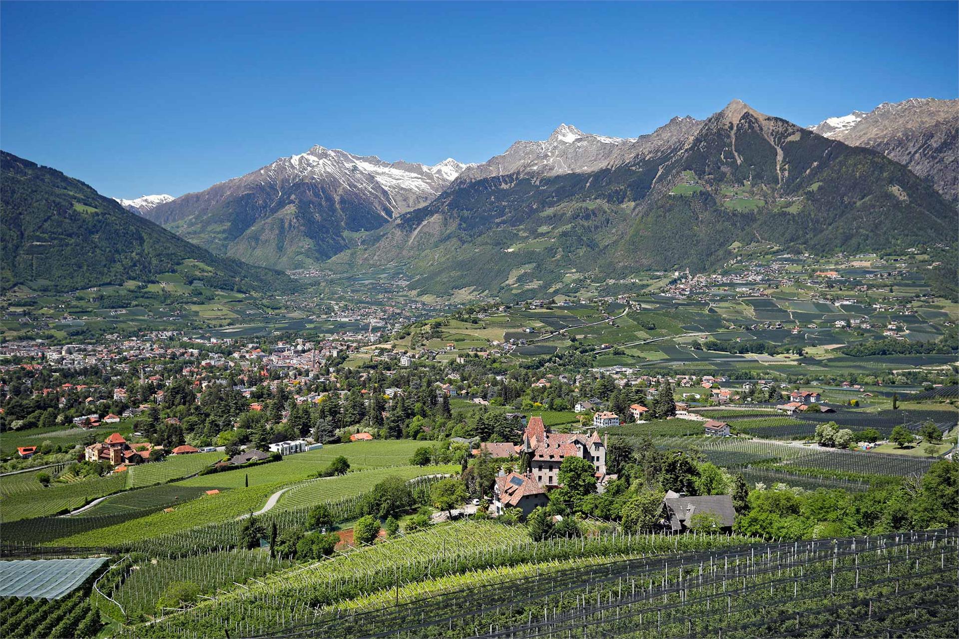 Landhaus Weger Meran/Merano 5 suedtirol.info