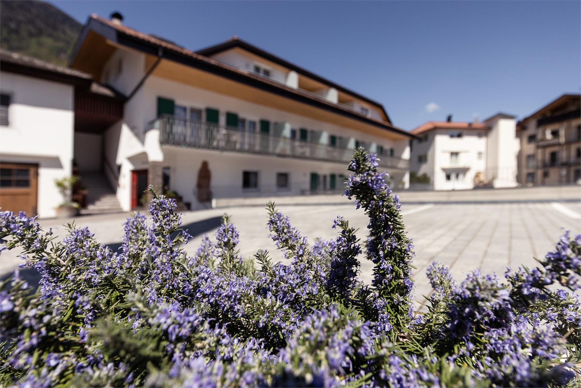 Landhaus am Gries Lana 27 suedtirol.info