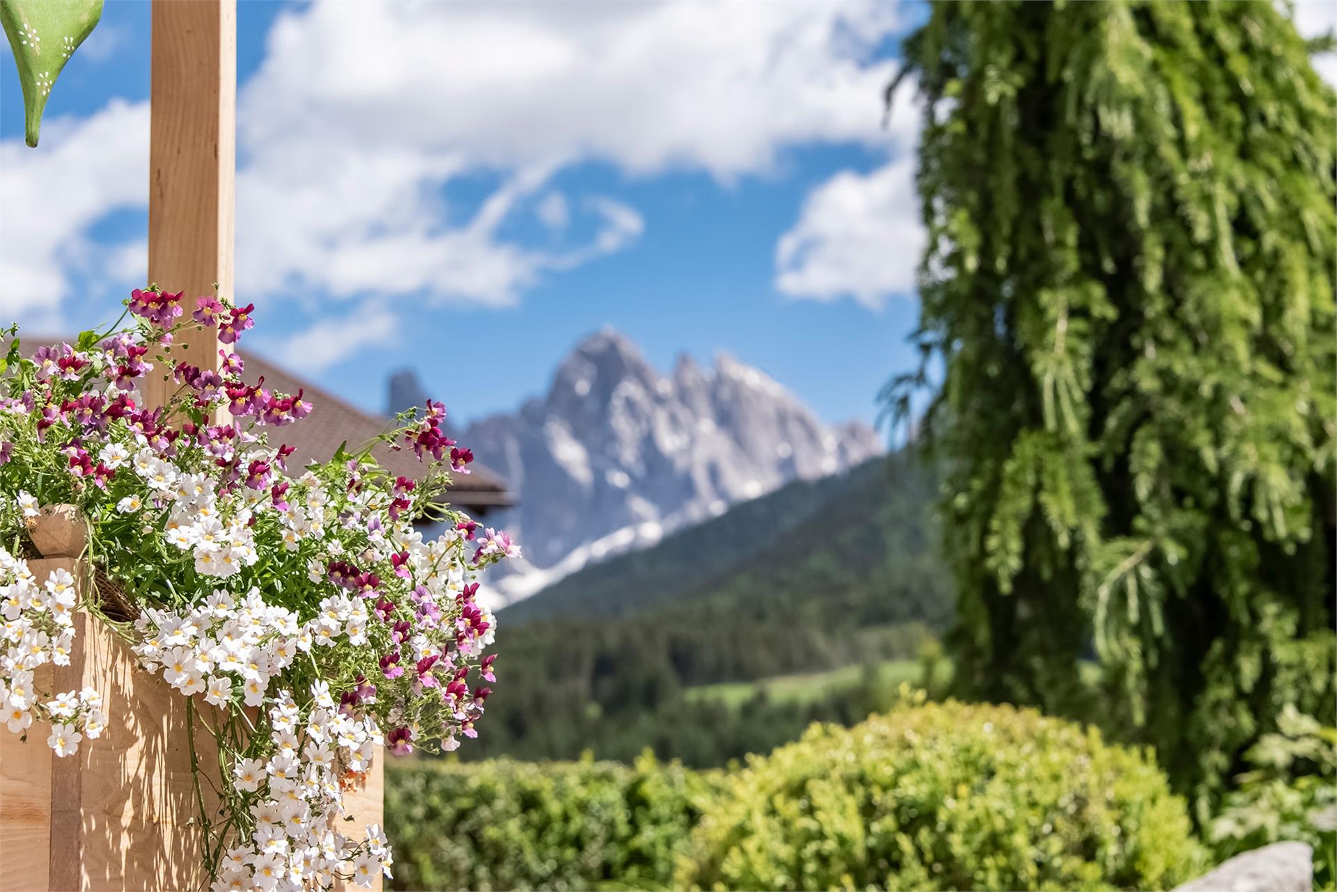 living Puez apartments in the dolomites Villnöss 5 suedtirol.info