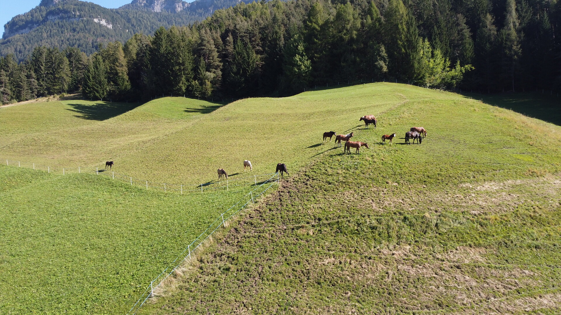 Ladinserhof - Dolomites Region Seiser Alm - #7 - suedtirol.info