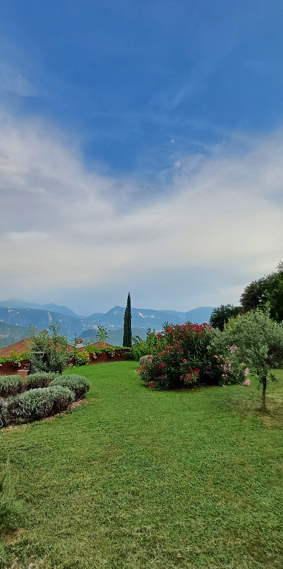 La Vinea