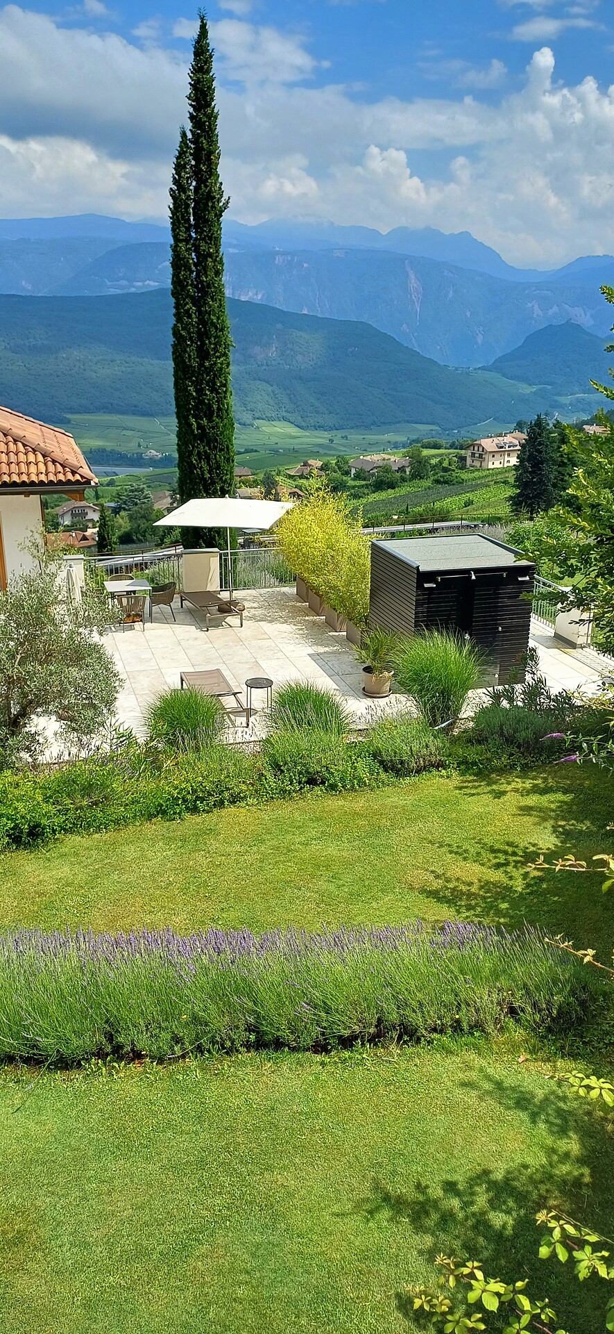 La Vinea