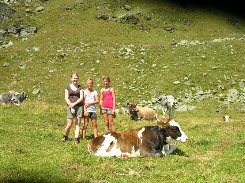 Sul Malga con il nostro mucca