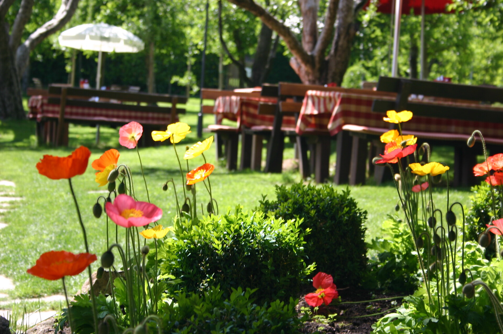 the garden restaurant