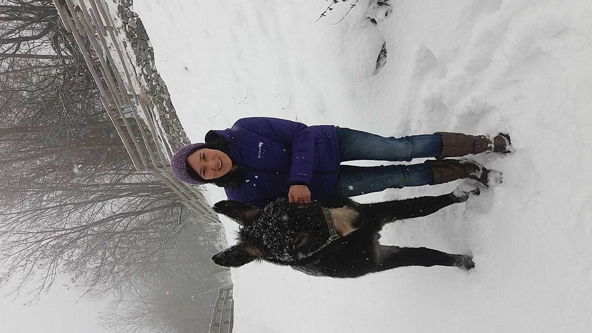 Esel und Pony