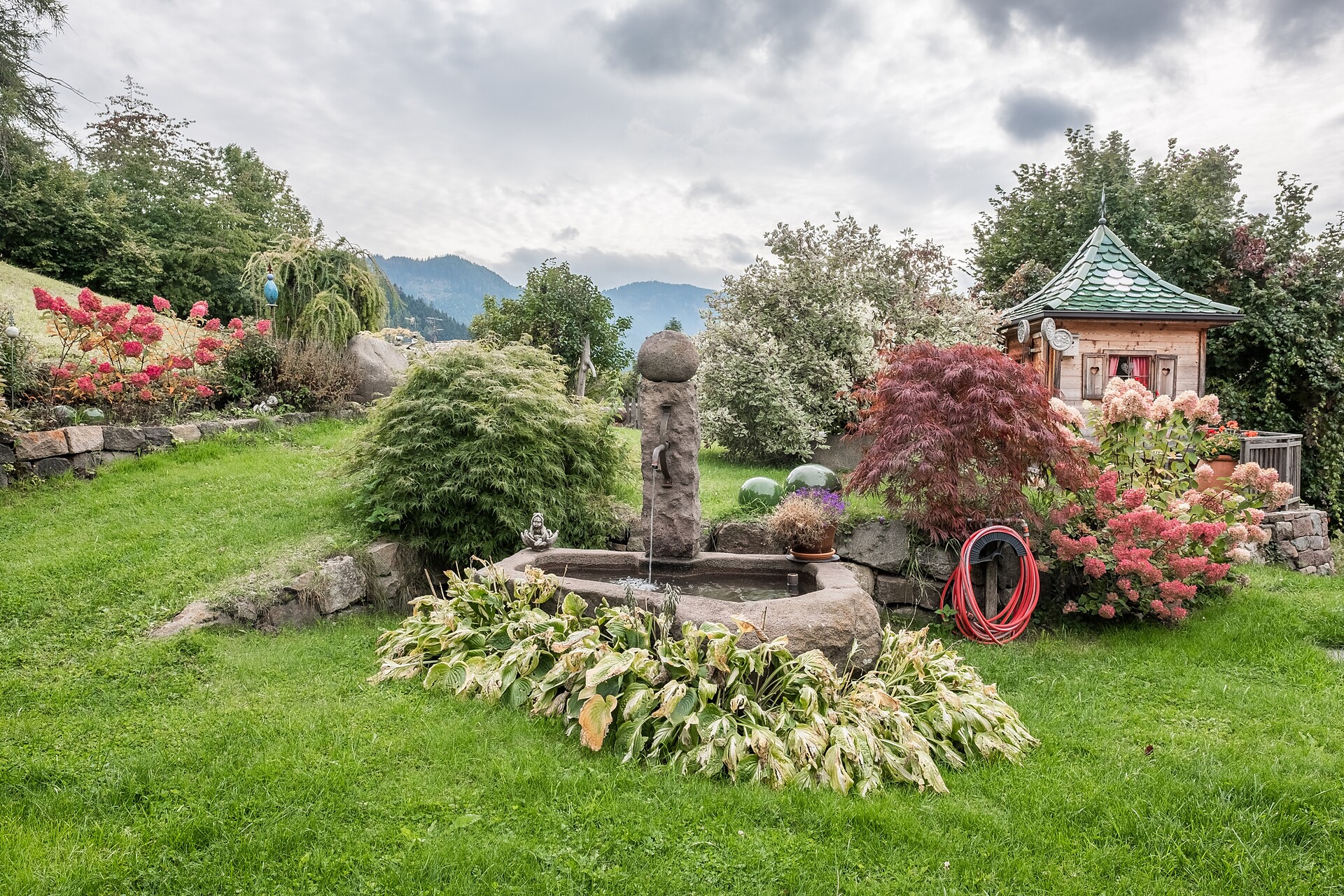 Garden in the summer