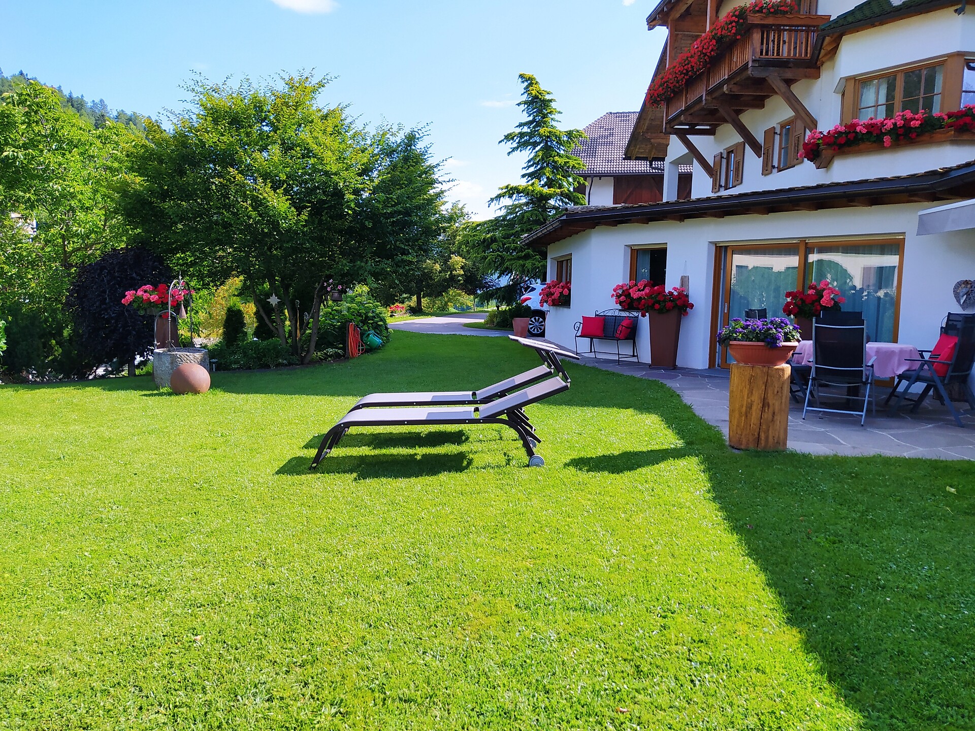 Garden in the summer
