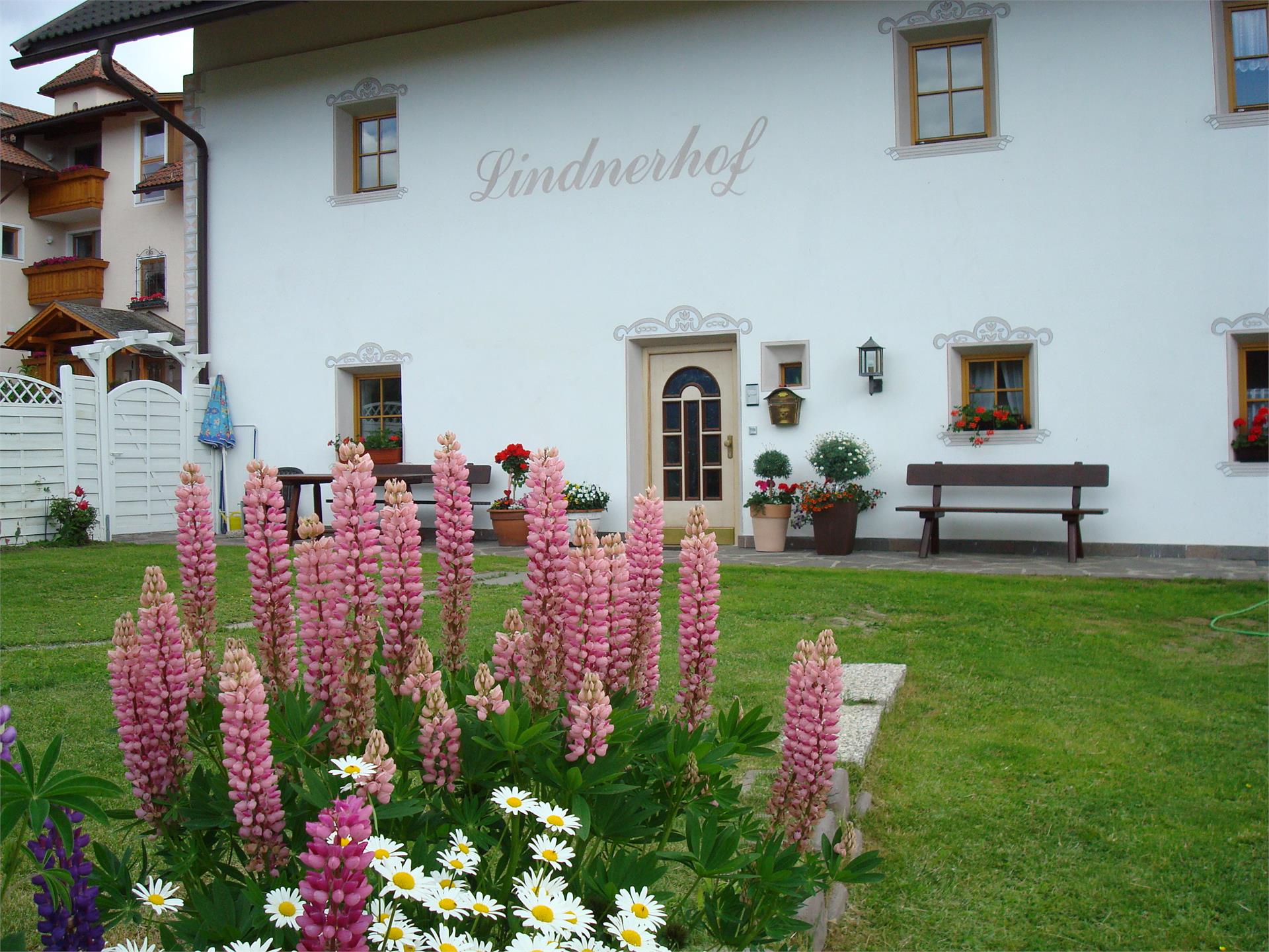 Lindnerhof St.Lorenzen/San Lorenzo di Sebato 5 suedtirol.info