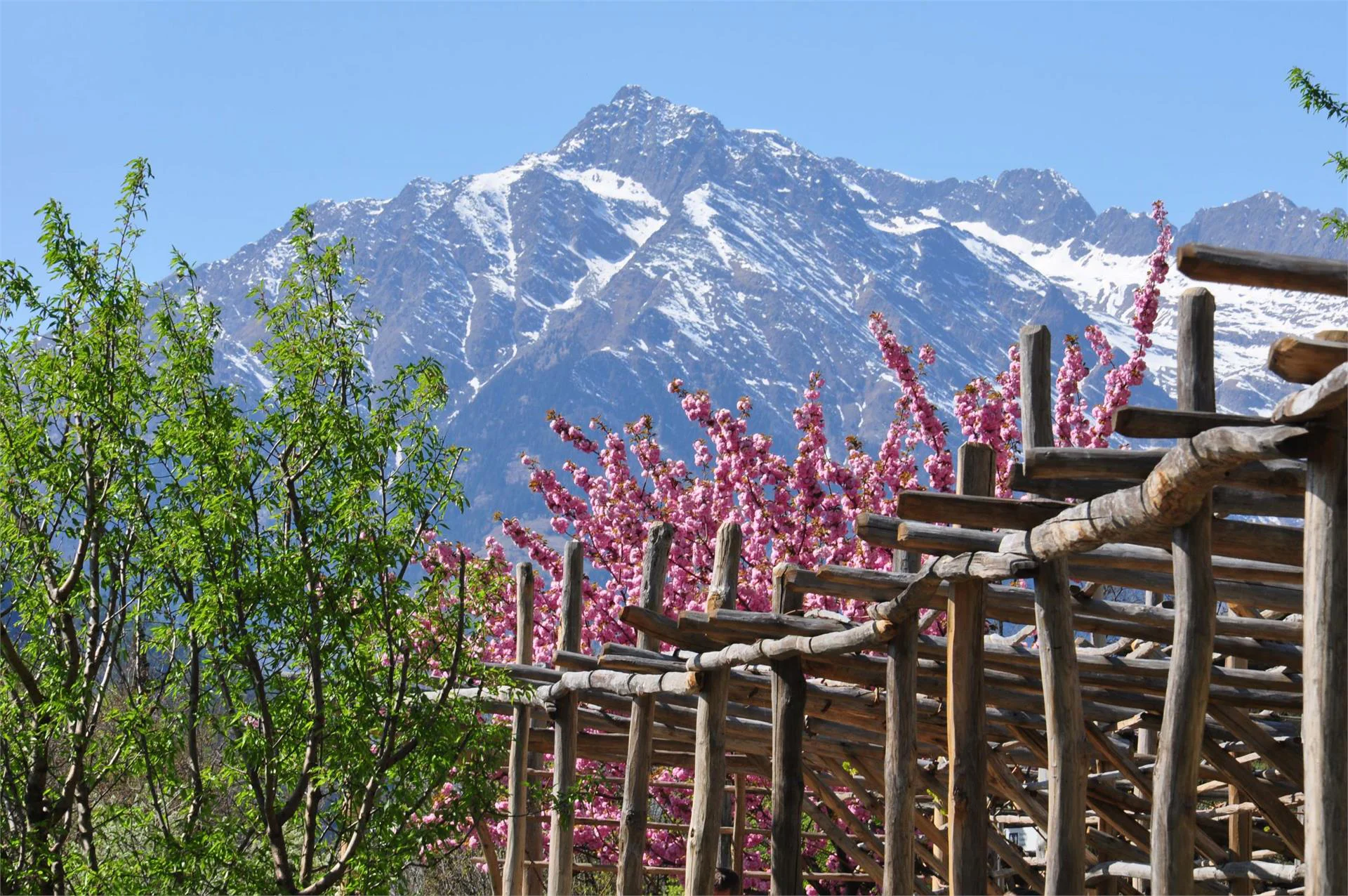 Landhaus Freiburgerhof Riffian/Rifiano 14 suedtirol.info