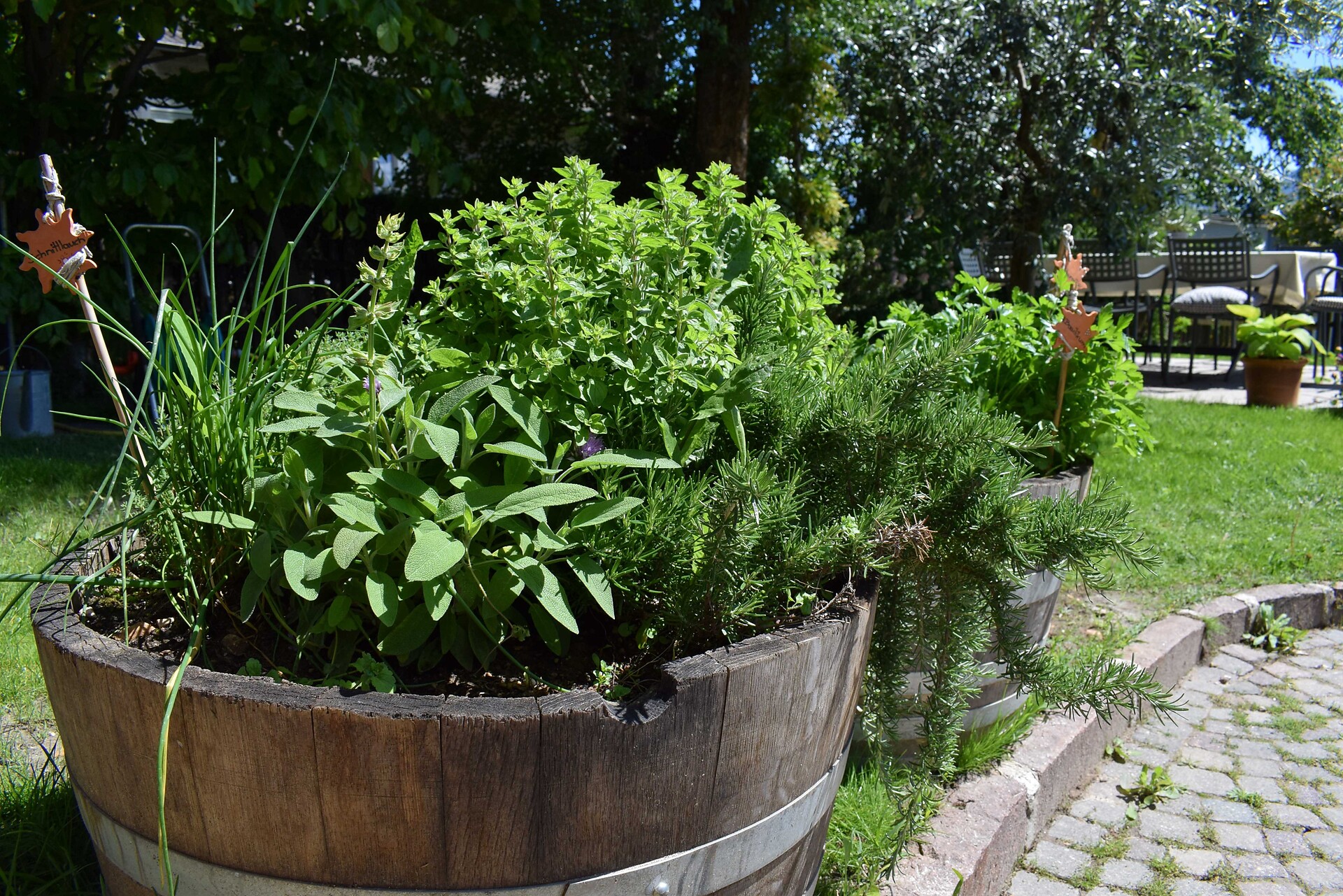 garden