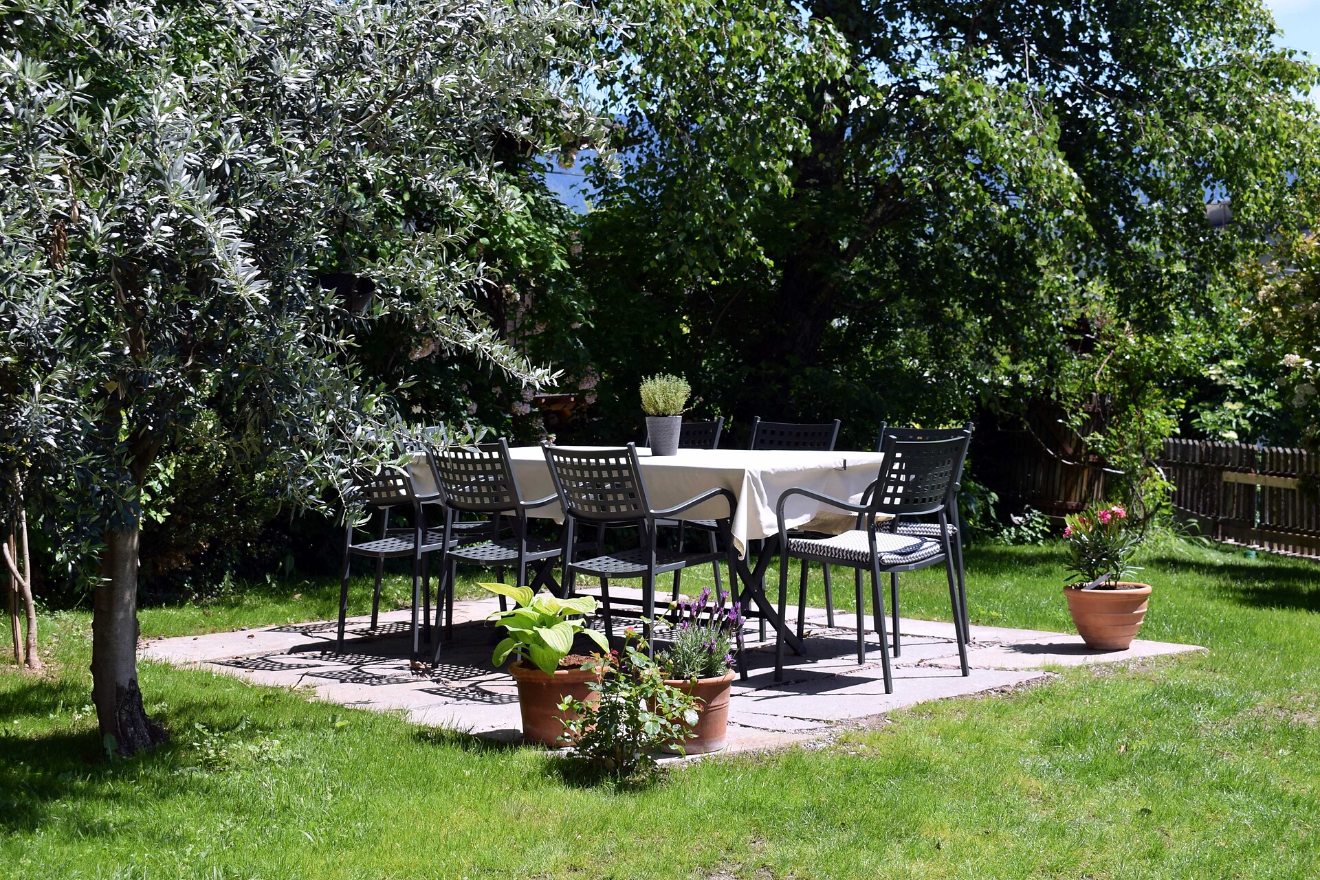 garden