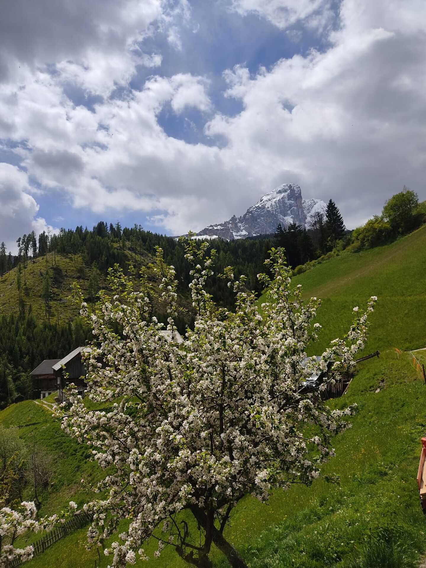 Peitlerkofel