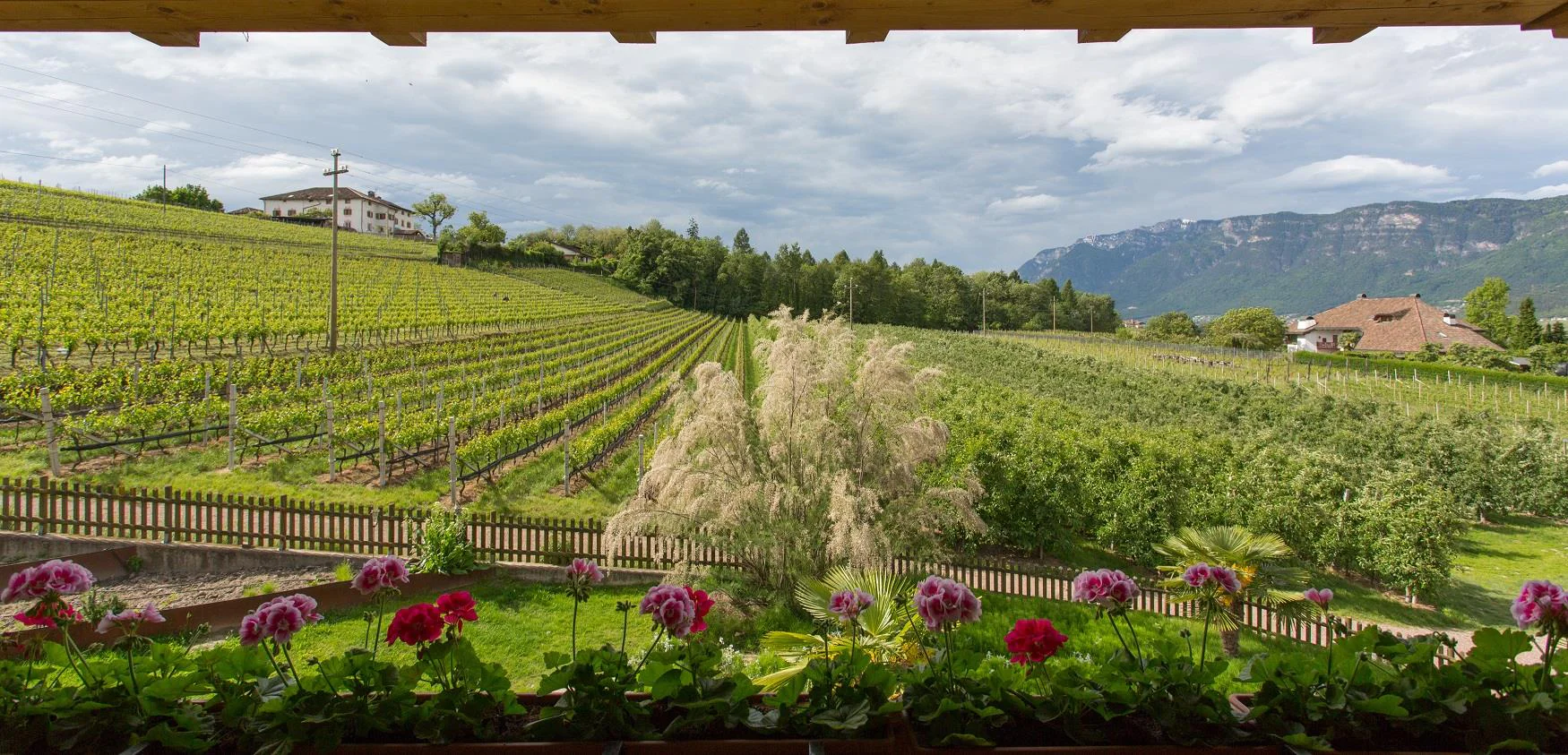 Lavendelhof Eppan an der Weinstaße/Appiano sulla Strada del Vino 20 suedtirol.info