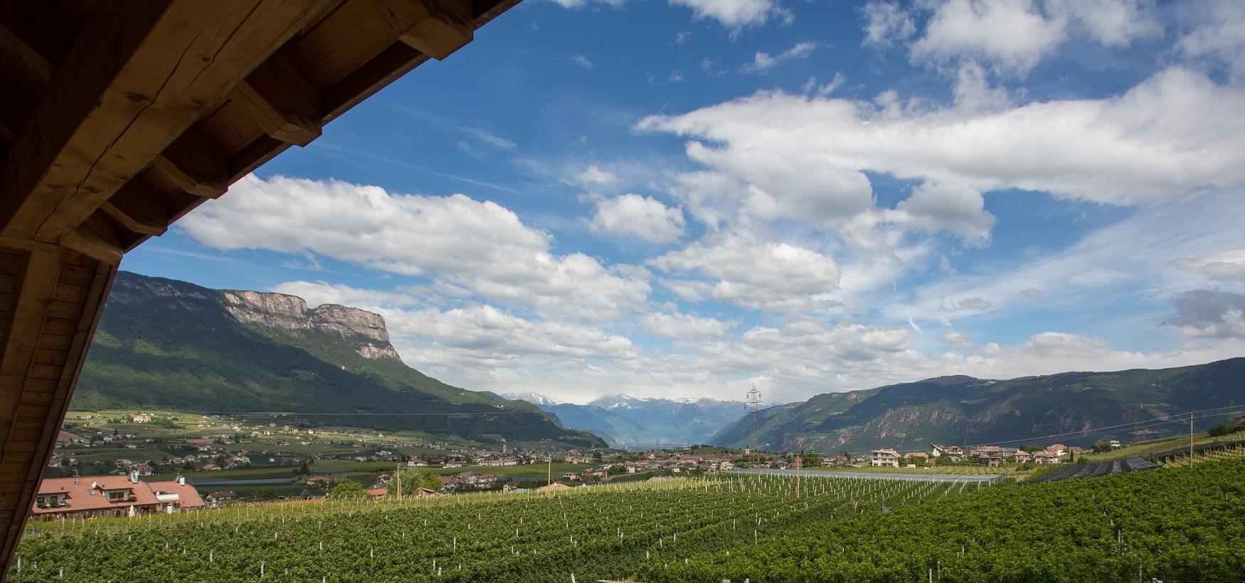 Lavendelhof Eppan an der Weinstraße 28 suedtirol.info