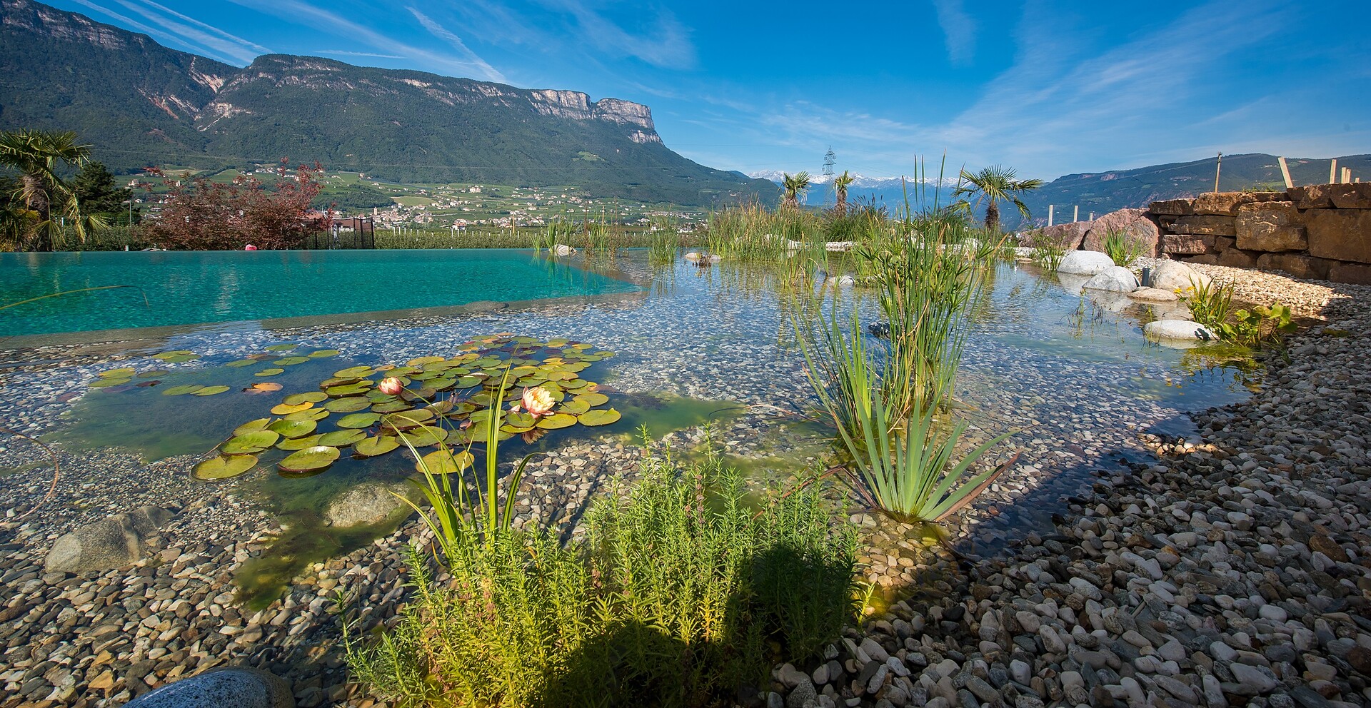 Lavendelhof Eppan an der Weinstraße 4 suedtirol.info