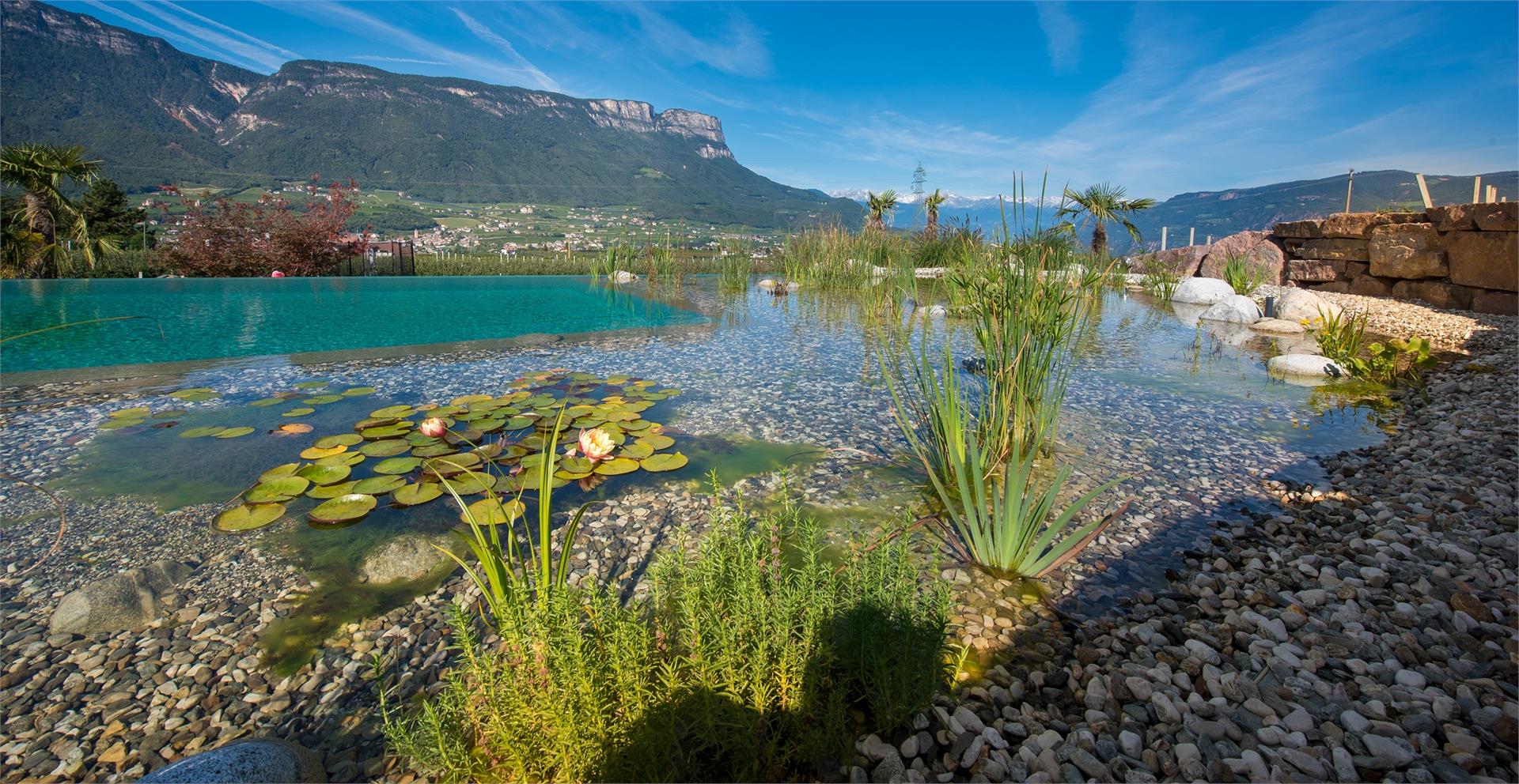 Lavendelhof Eppan an der Weinstraße 4 suedtirol.info