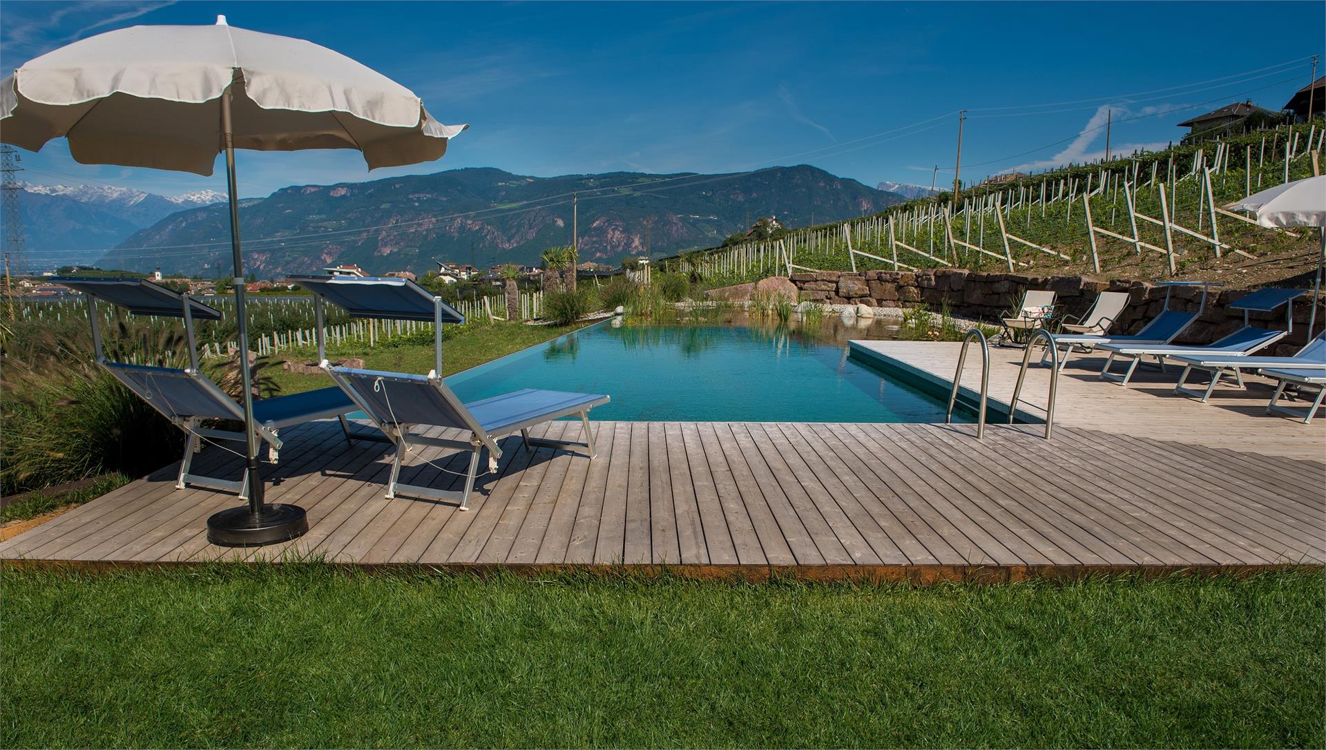 Lavendelhof Eppan an der Weinstraße 8 suedtirol.info