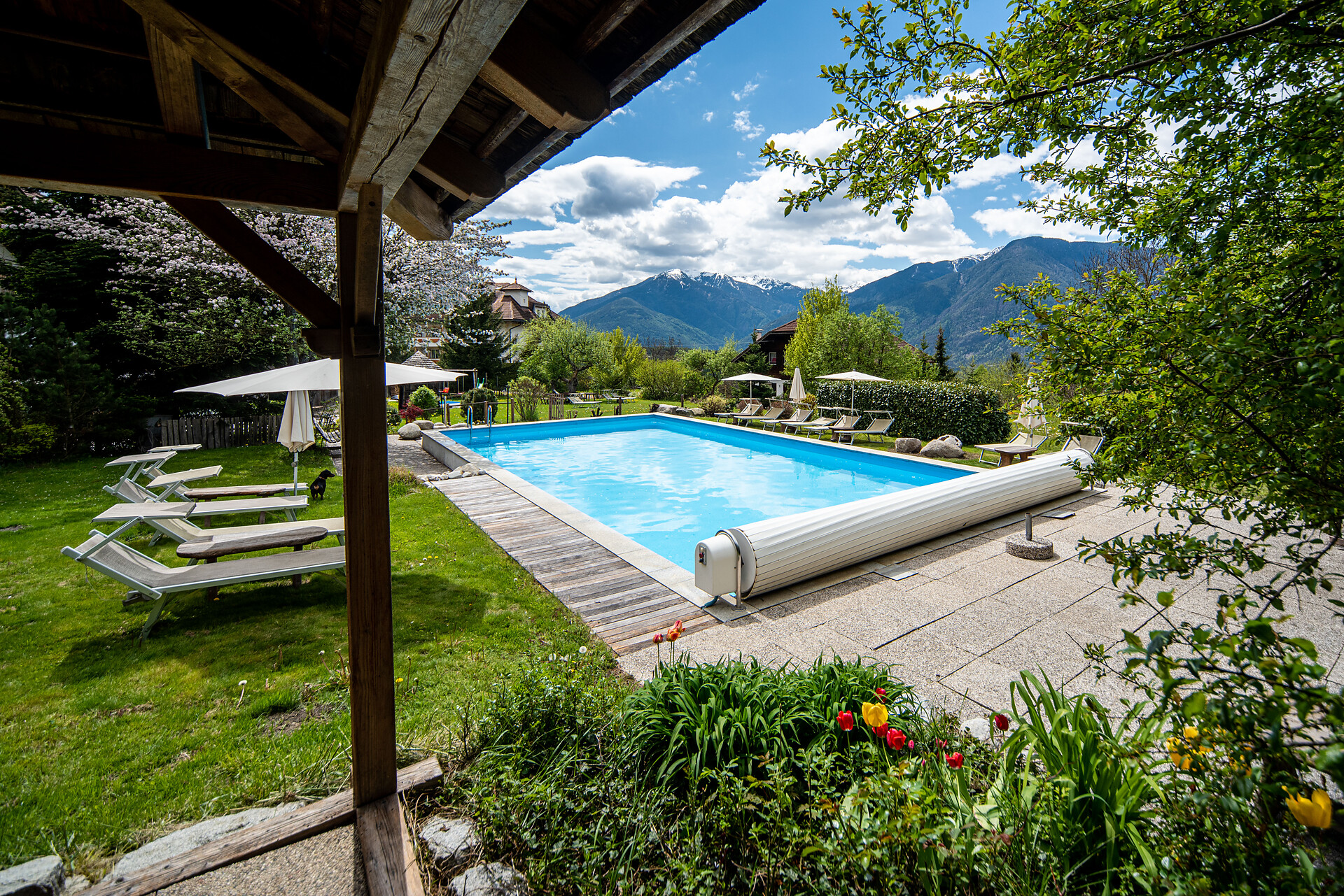 Piscina