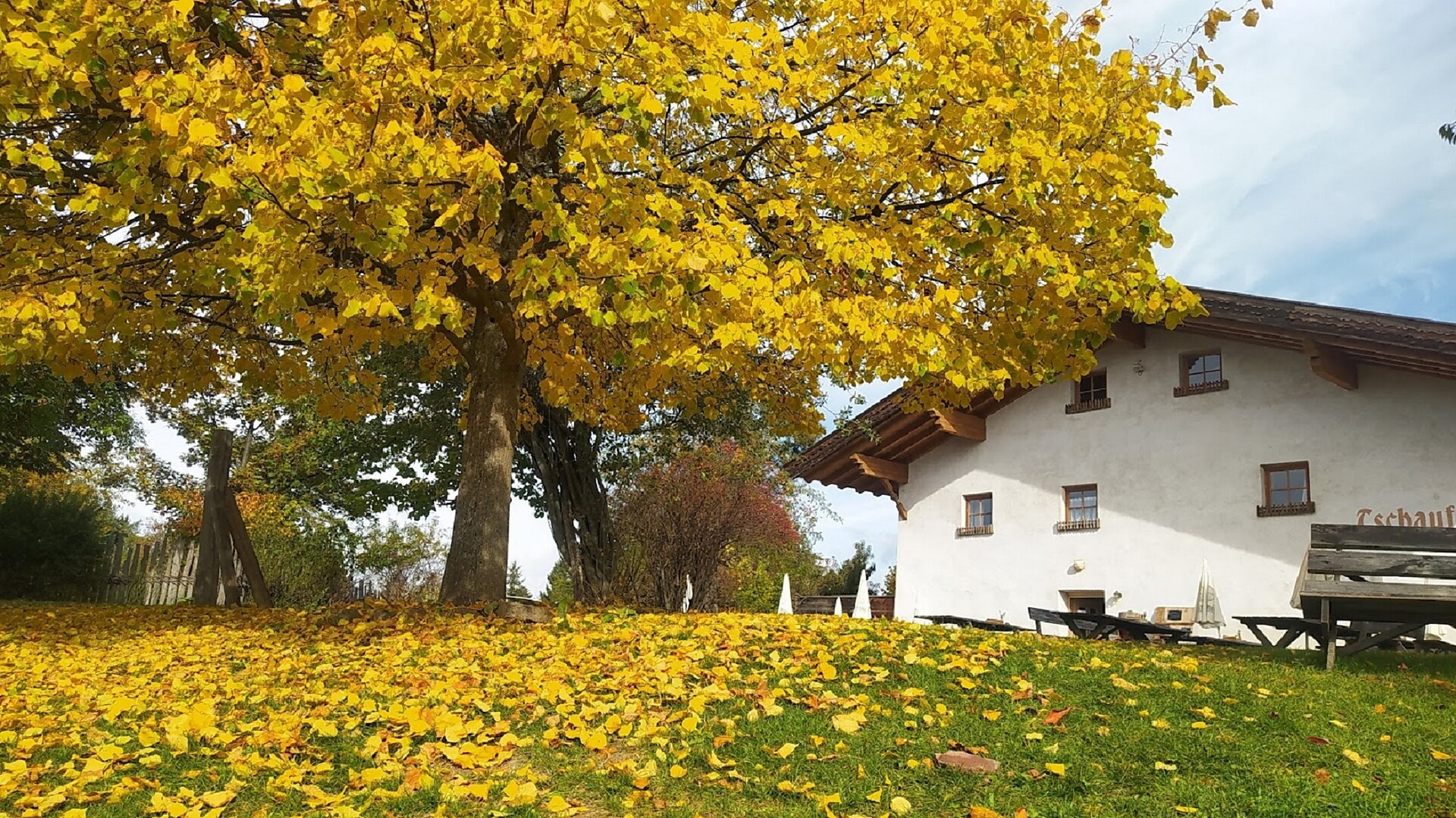 Tschaufen
