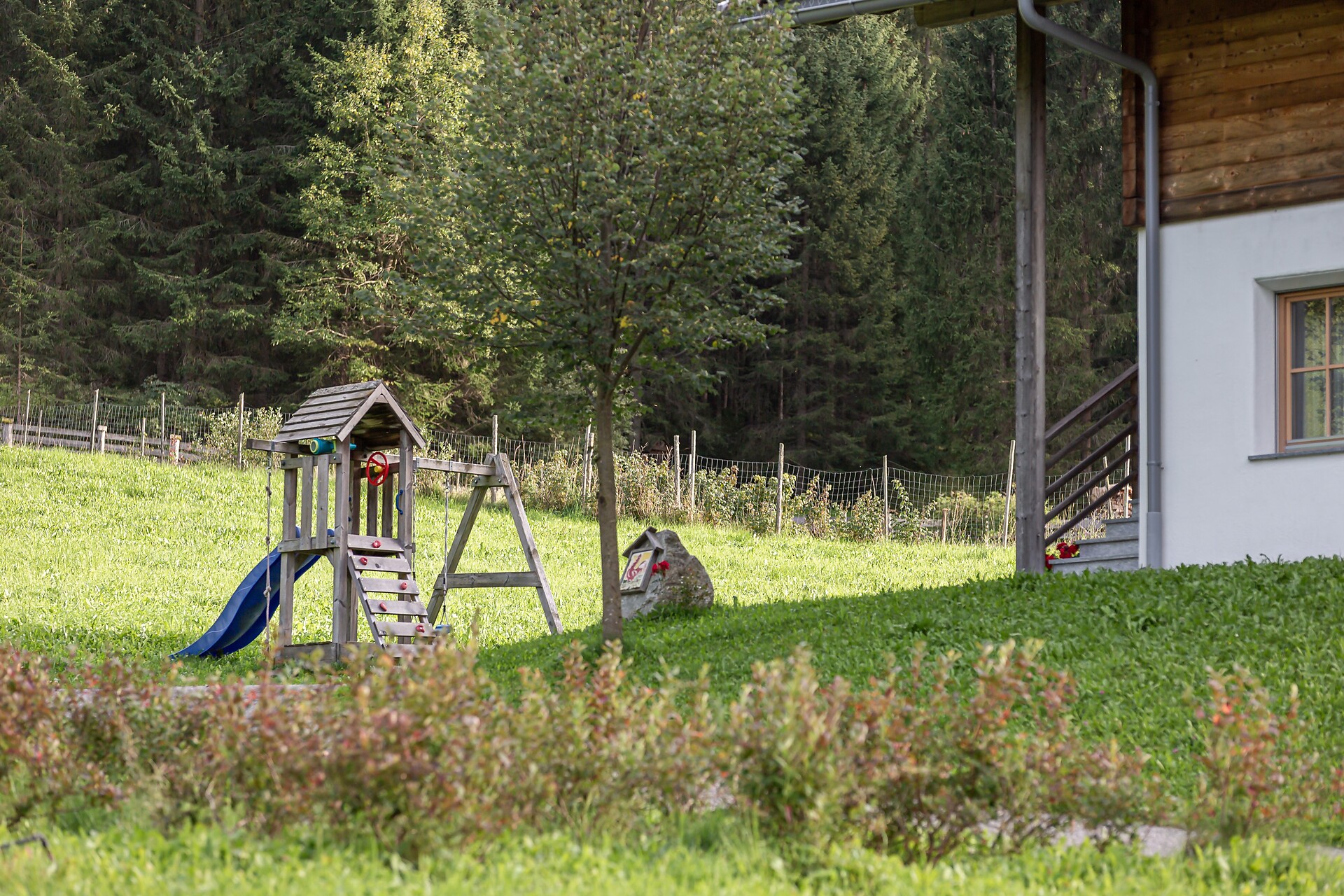 With Playground
