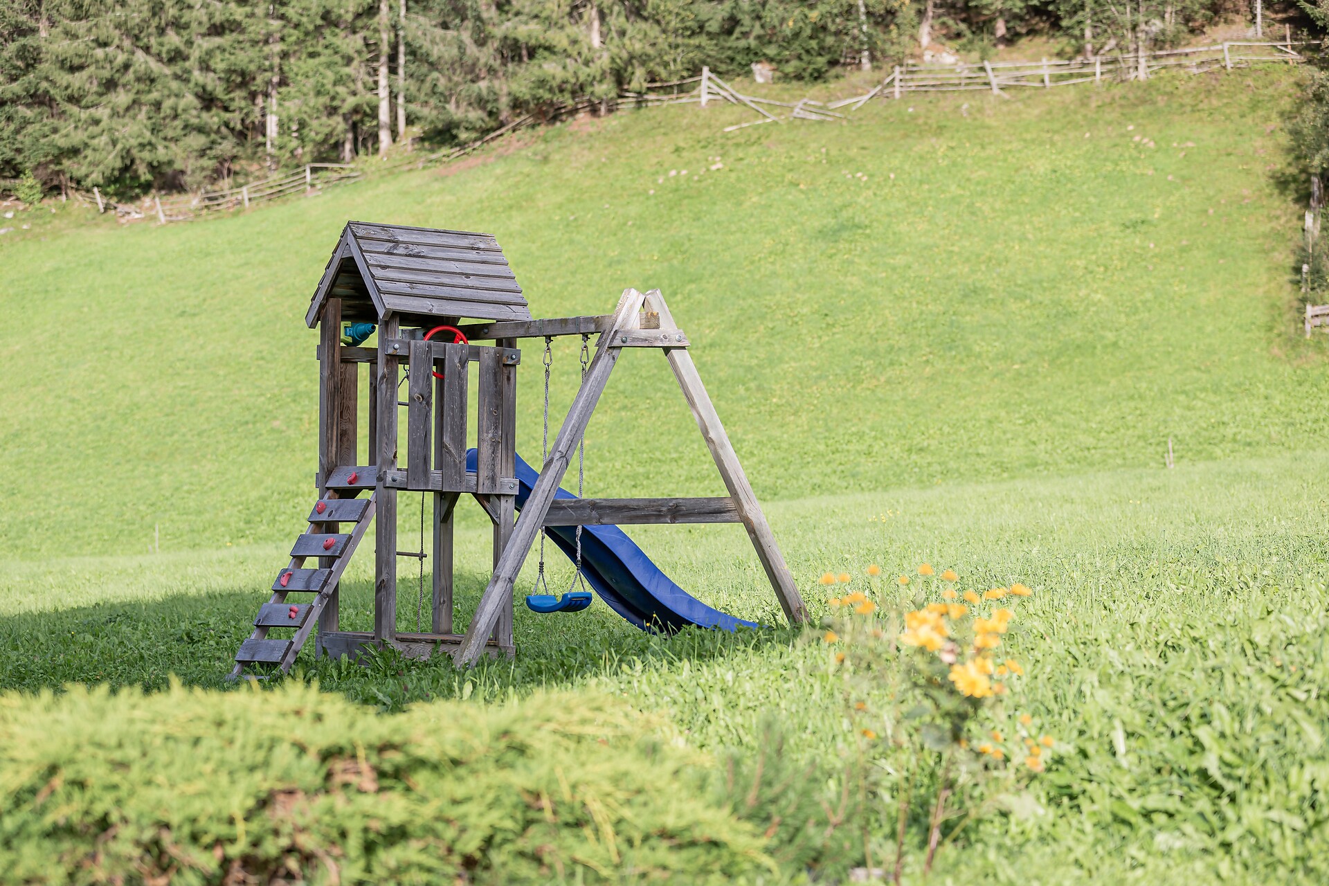 Our playground