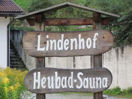 Lindenhof Vandoies 2 suedtirol.info