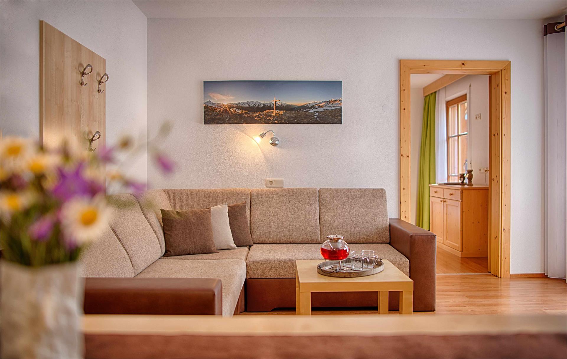 Löfflerblick Apartments & Wellness Ahrntal 7 suedtirol.info