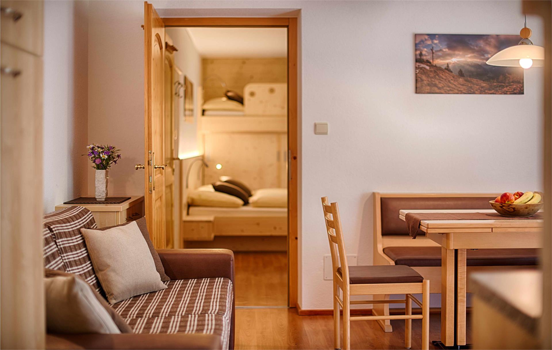 Löfflerblick Apartments & Wellness Ahrntal 6 suedtirol.info
