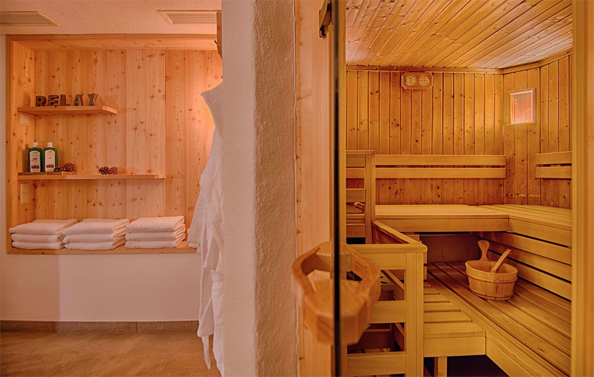 Löfflerblick Apartments & Wellness Ahrntal 13 suedtirol.info