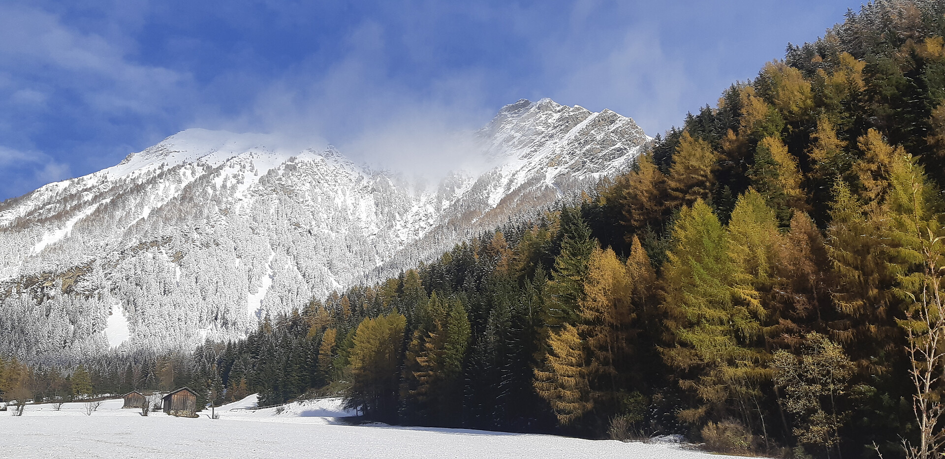 Laimbruchhof Pfitsch 4 suedtirol.info