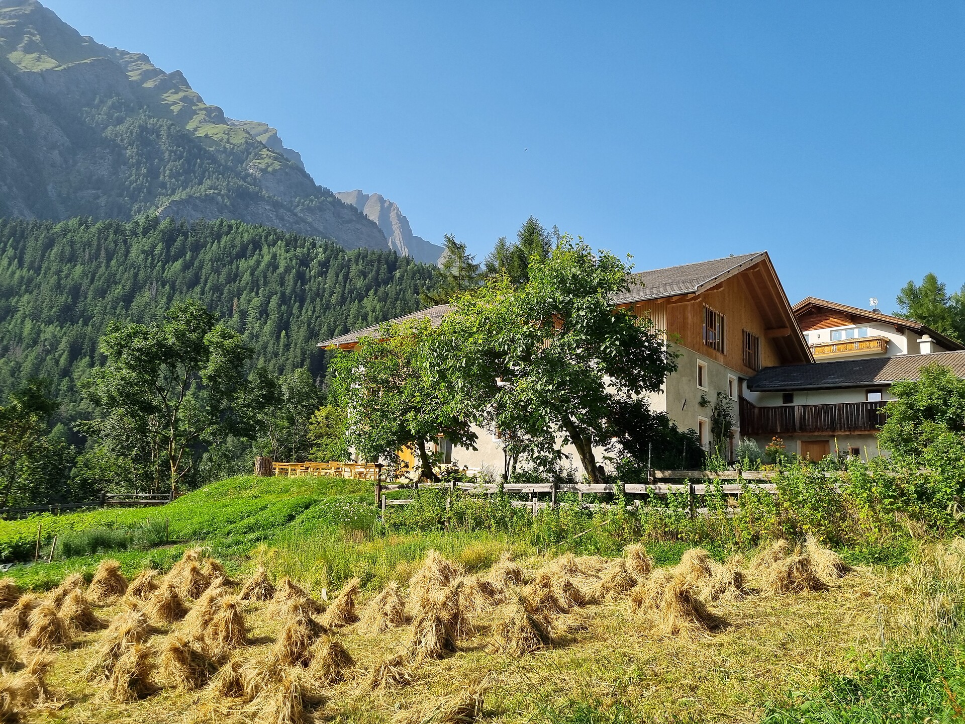 Laimbruchhof - Sterzing/Vipiteno and environs - #15 - suedtirol.info
