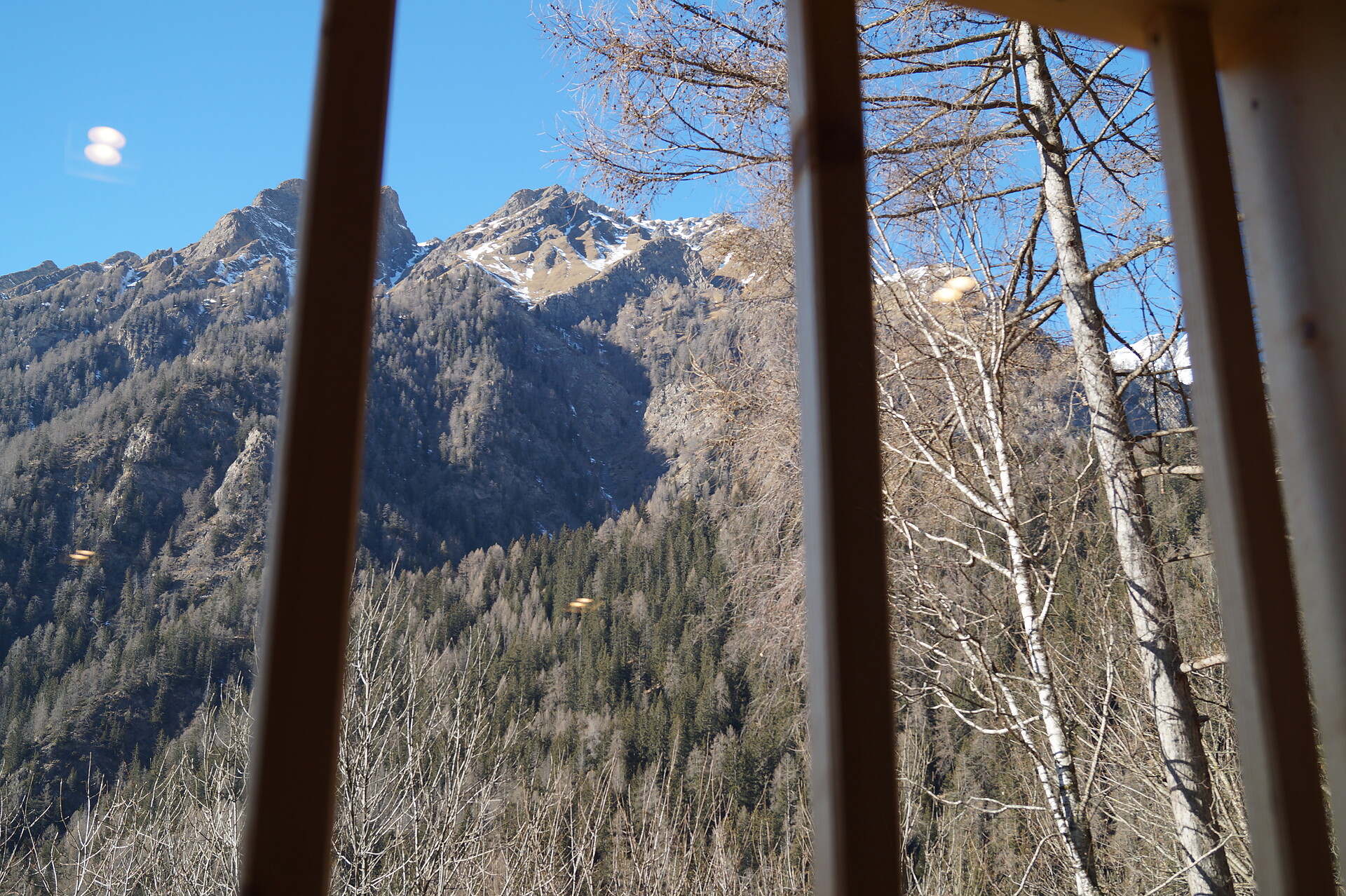 Laimbruchhof Pfitsch 19 suedtirol.info