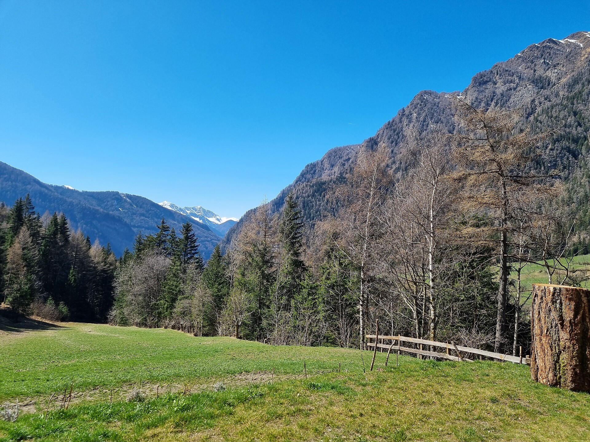 Laimbruchhof
