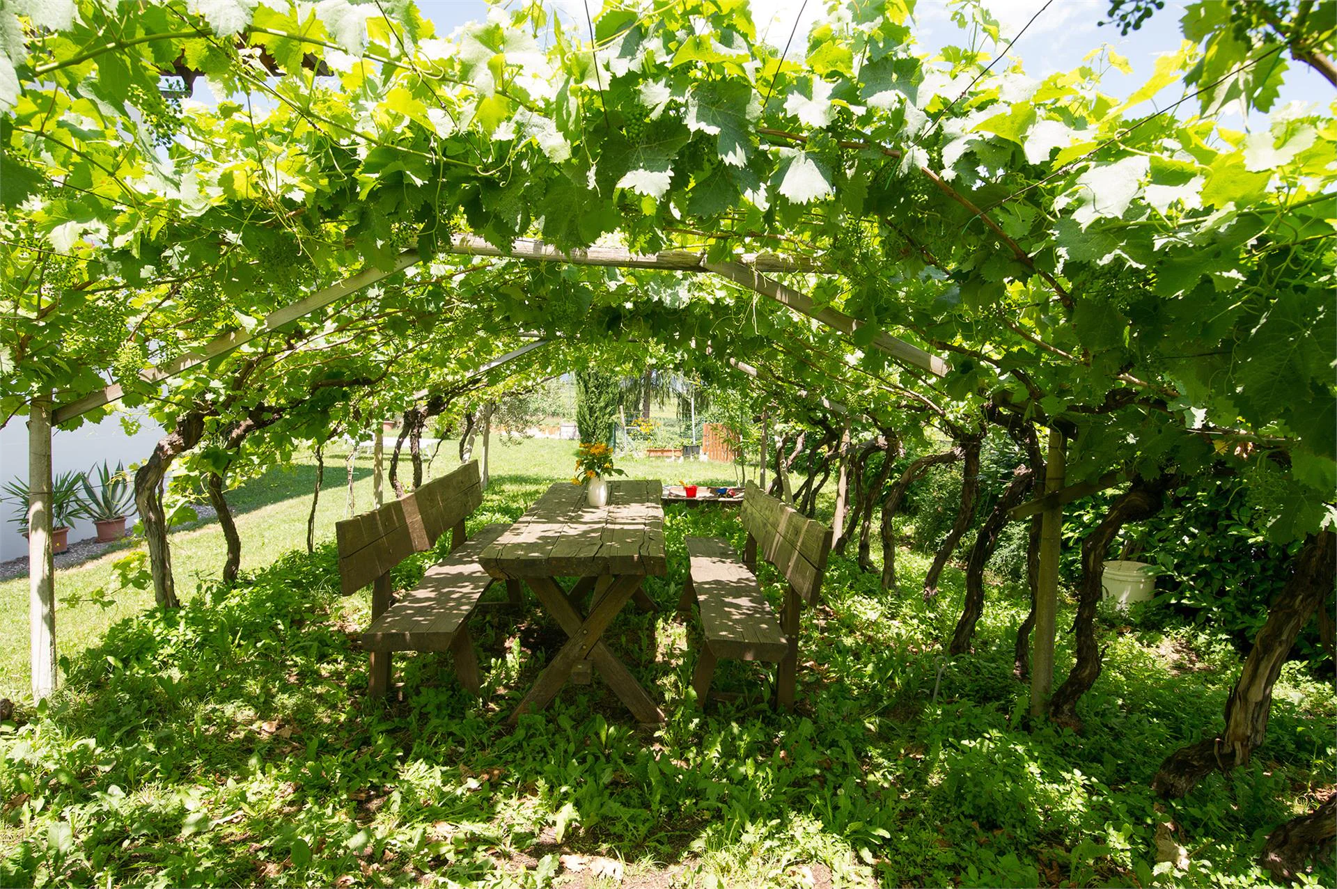 Lärchenhof Kaltern an der Weinstraße/Caldaro sulla Strada del Vino 13 suedtirol.info