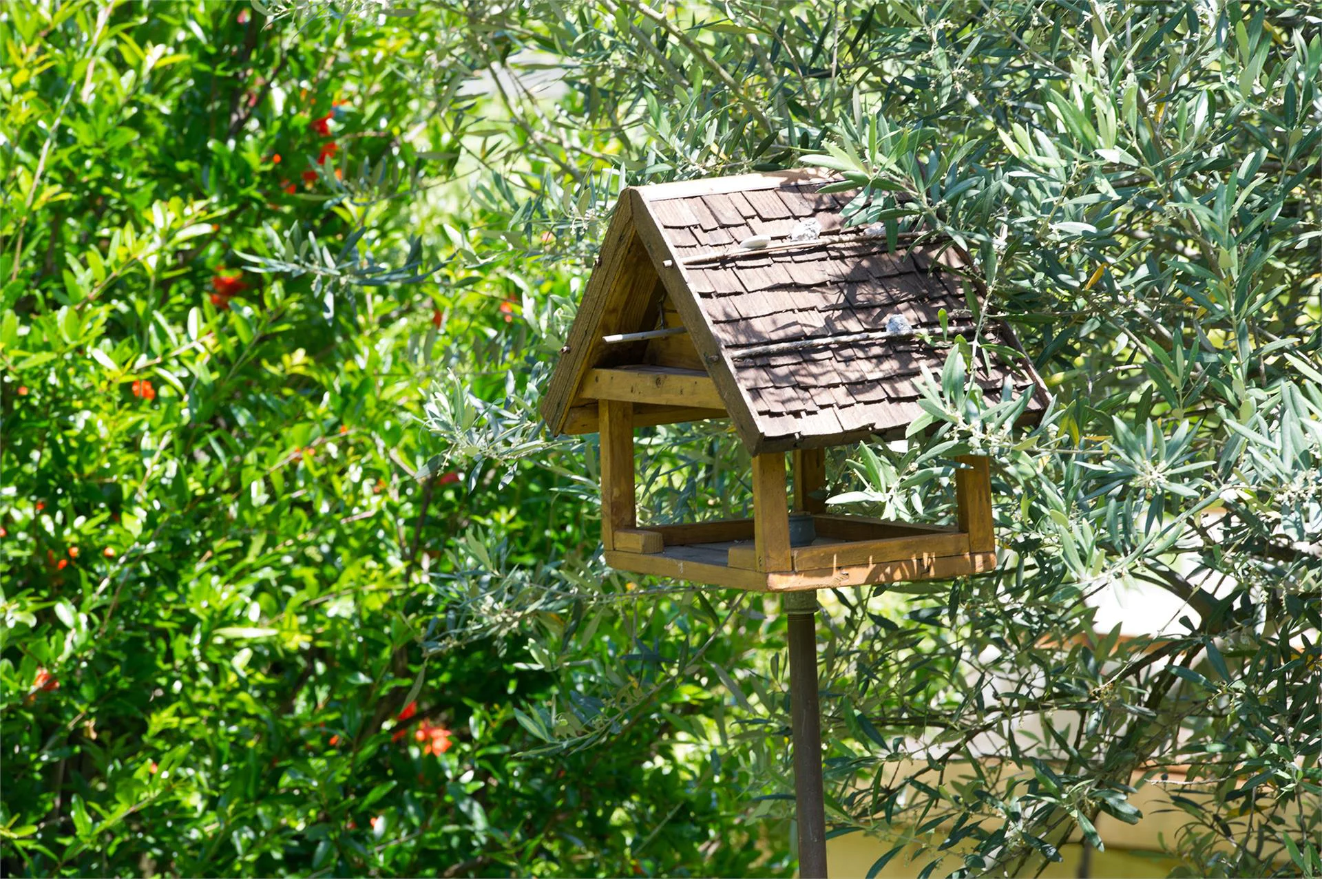 Lärchenhof Kaltern an der Weinstraße/Caldaro sulla Strada del Vino 12 suedtirol.info