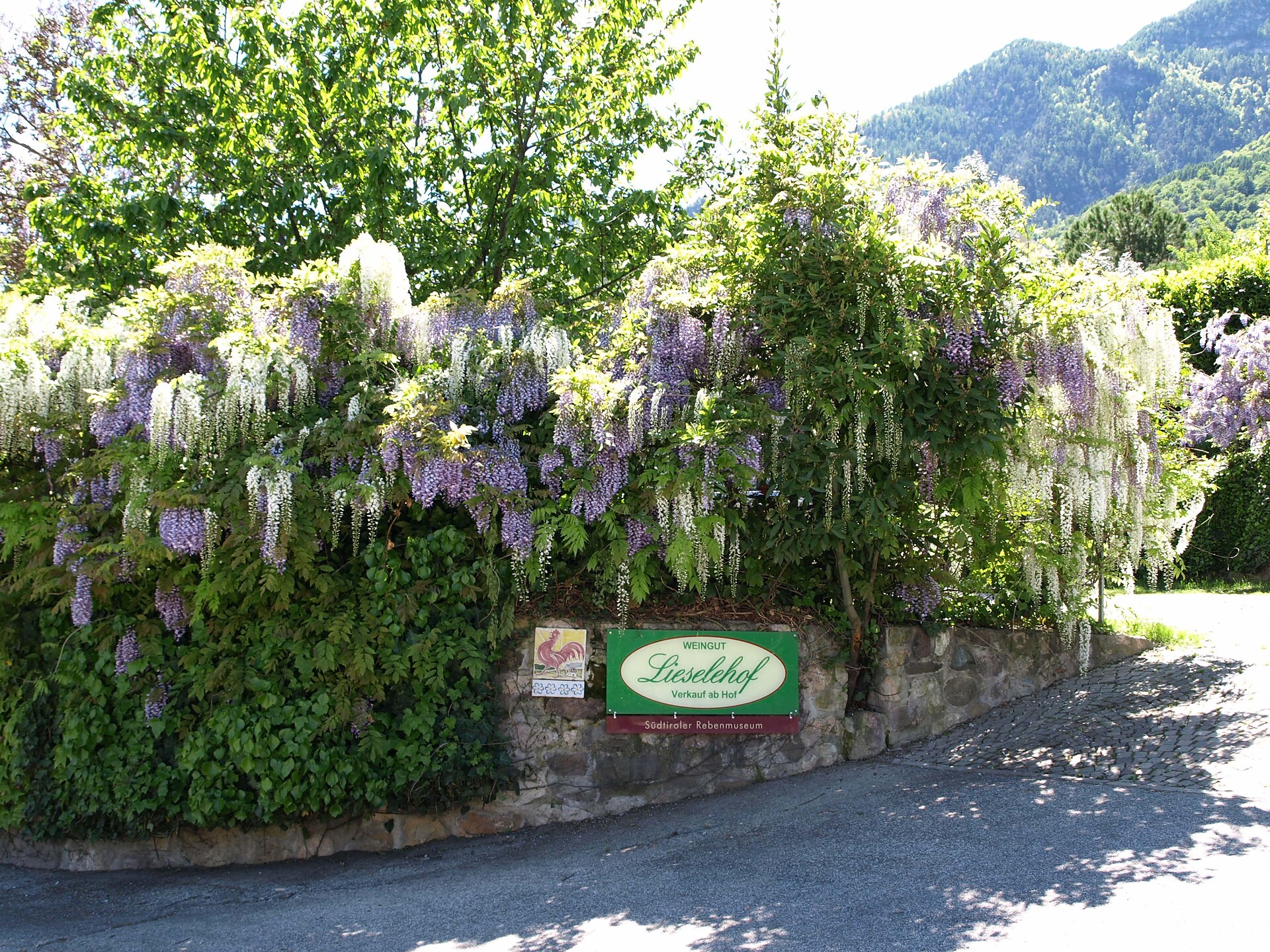Lieselehof Eingang
