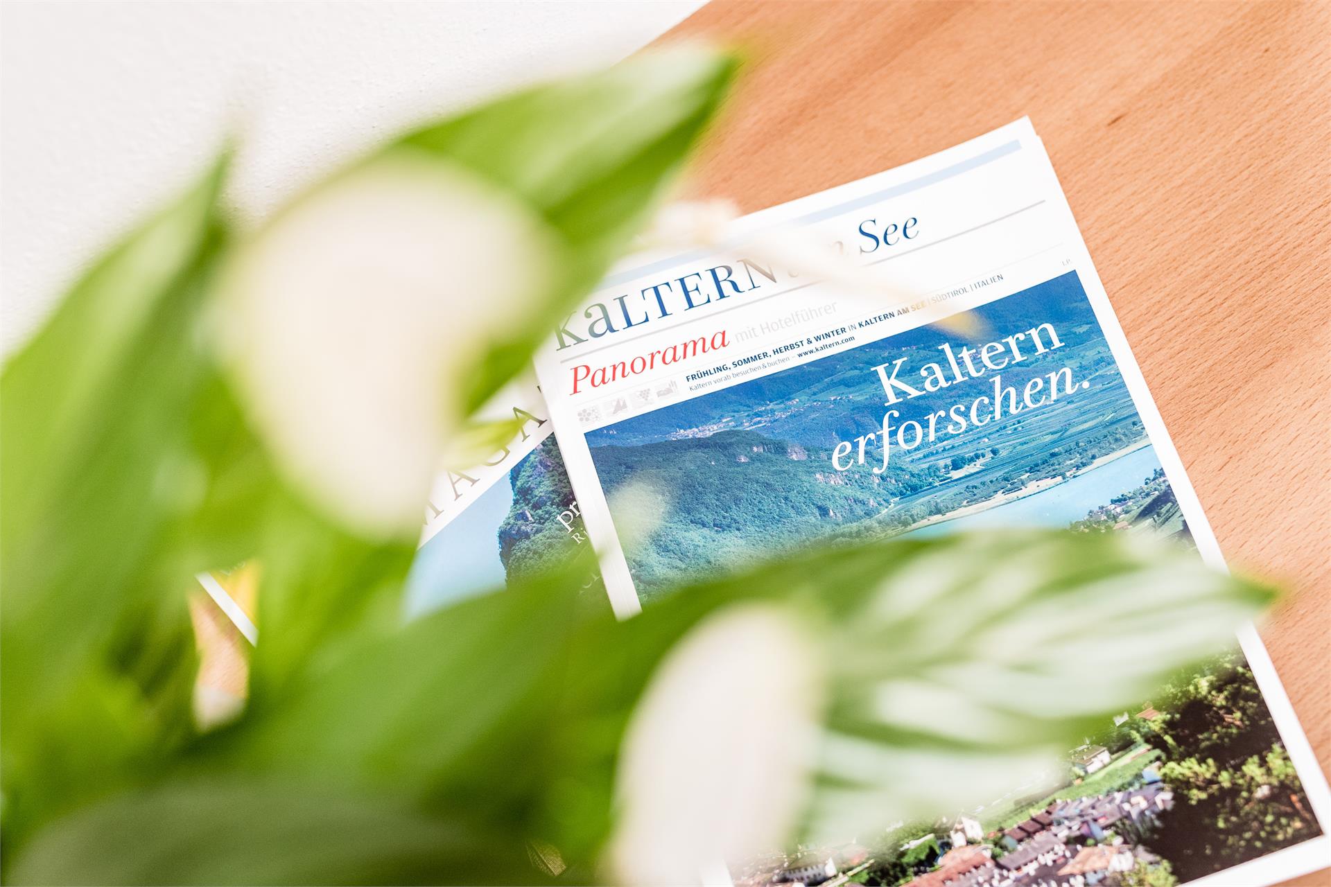 Lahnhöfl Kaltern an der Weinstraße/Caldaro sulla Strada del Vino 17 suedtirol.info
