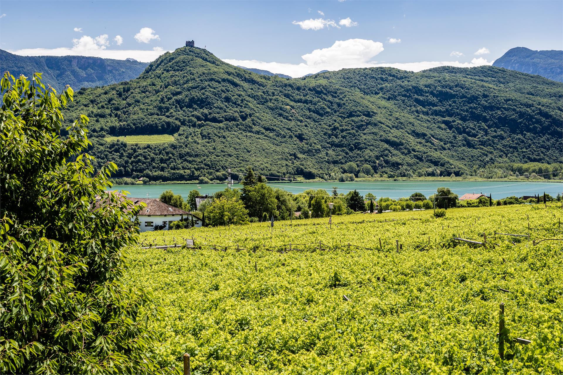 Lahnhöfl Kaltern an der Weinstraße/Caldaro sulla Strada del Vino 5 suedtirol.info