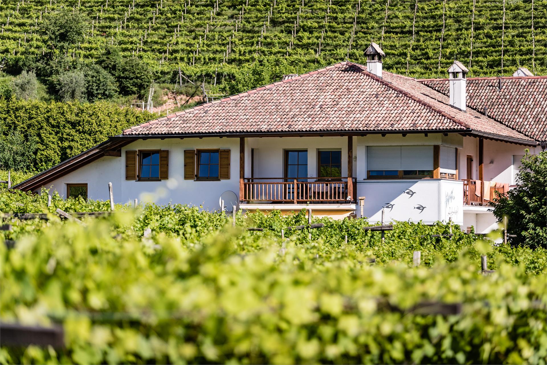 Lahnhöfl Kaltern an der Weinstraße/Caldaro sulla Strada del Vino 18 suedtirol.info