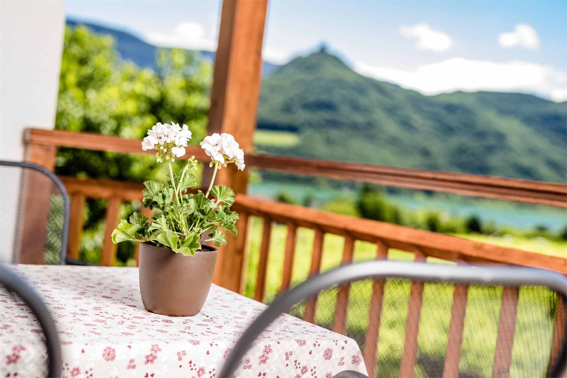 Lahnhöfl Kaltern an der Weinstraße/Caldaro sulla Strada del Vino 9 suedtirol.info