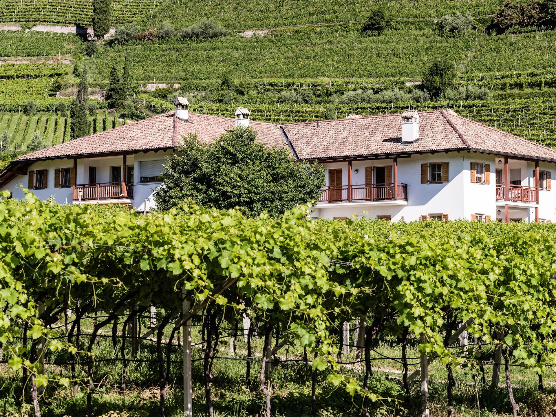 Lahnhöfl Kaltern an der Weinstraße/Caldaro sulla Strada del Vino 2 suedtirol.info