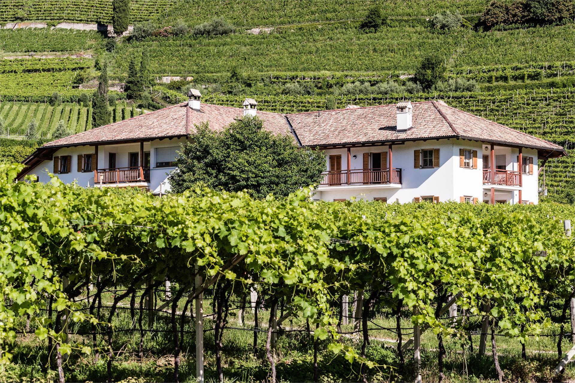 Lahnhöfl Kaltern an der Weinstraße/Caldaro sulla Strada del Vino 4 suedtirol.info