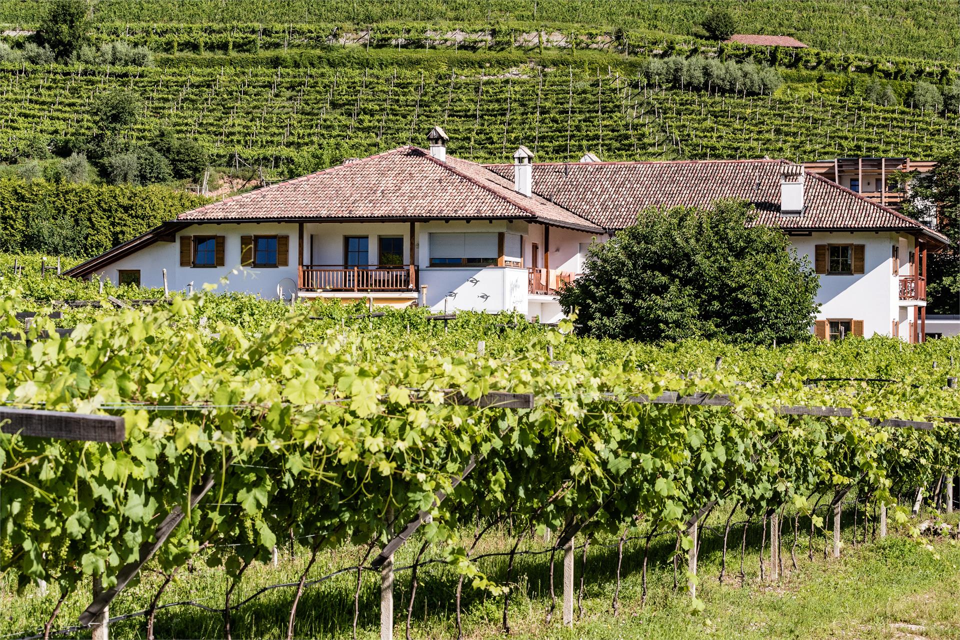 Lahnhöfl Kaltern an der Weinstraße/Caldaro sulla Strada del Vino 3 suedtirol.info